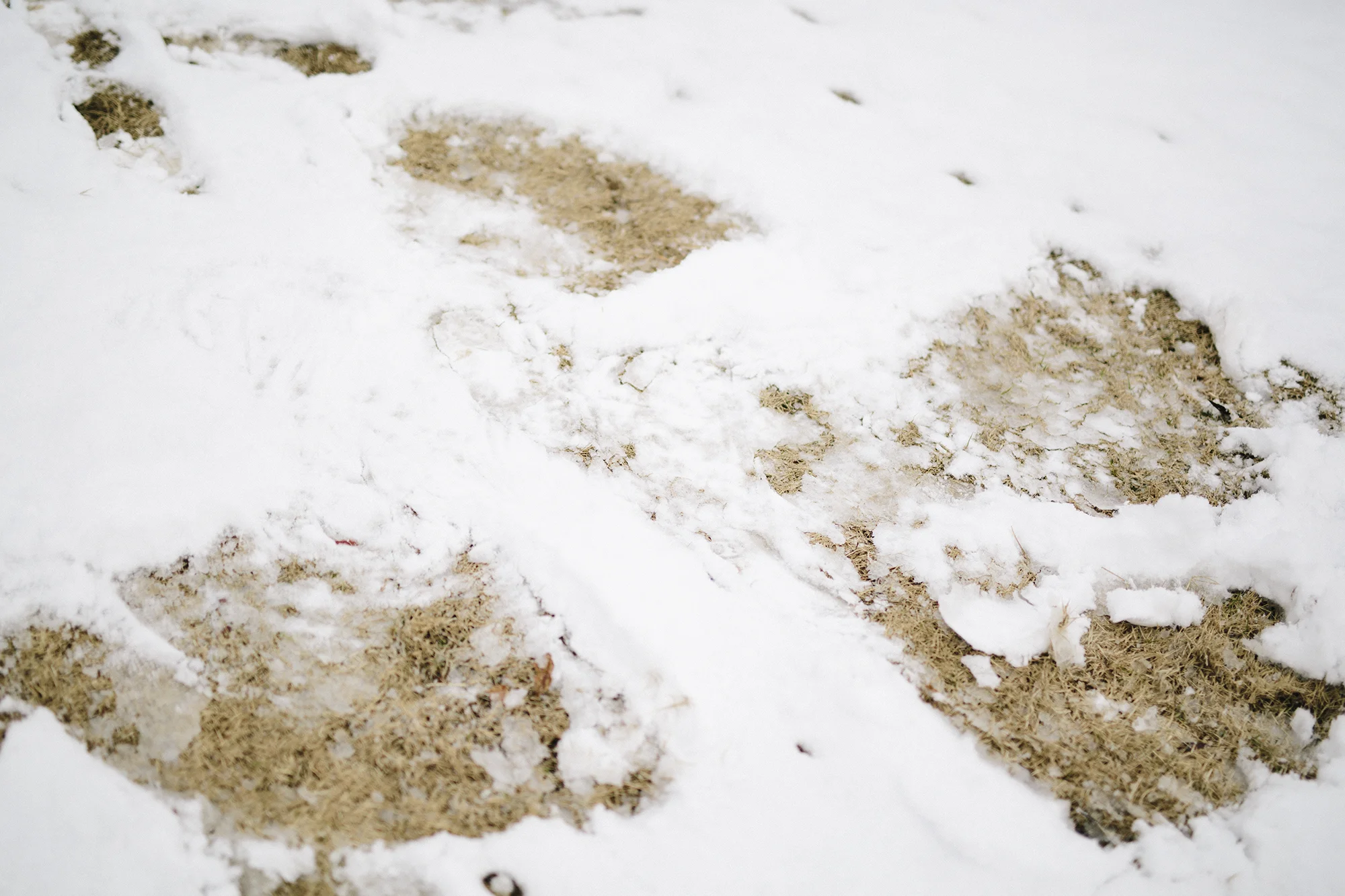 snow7.jpg