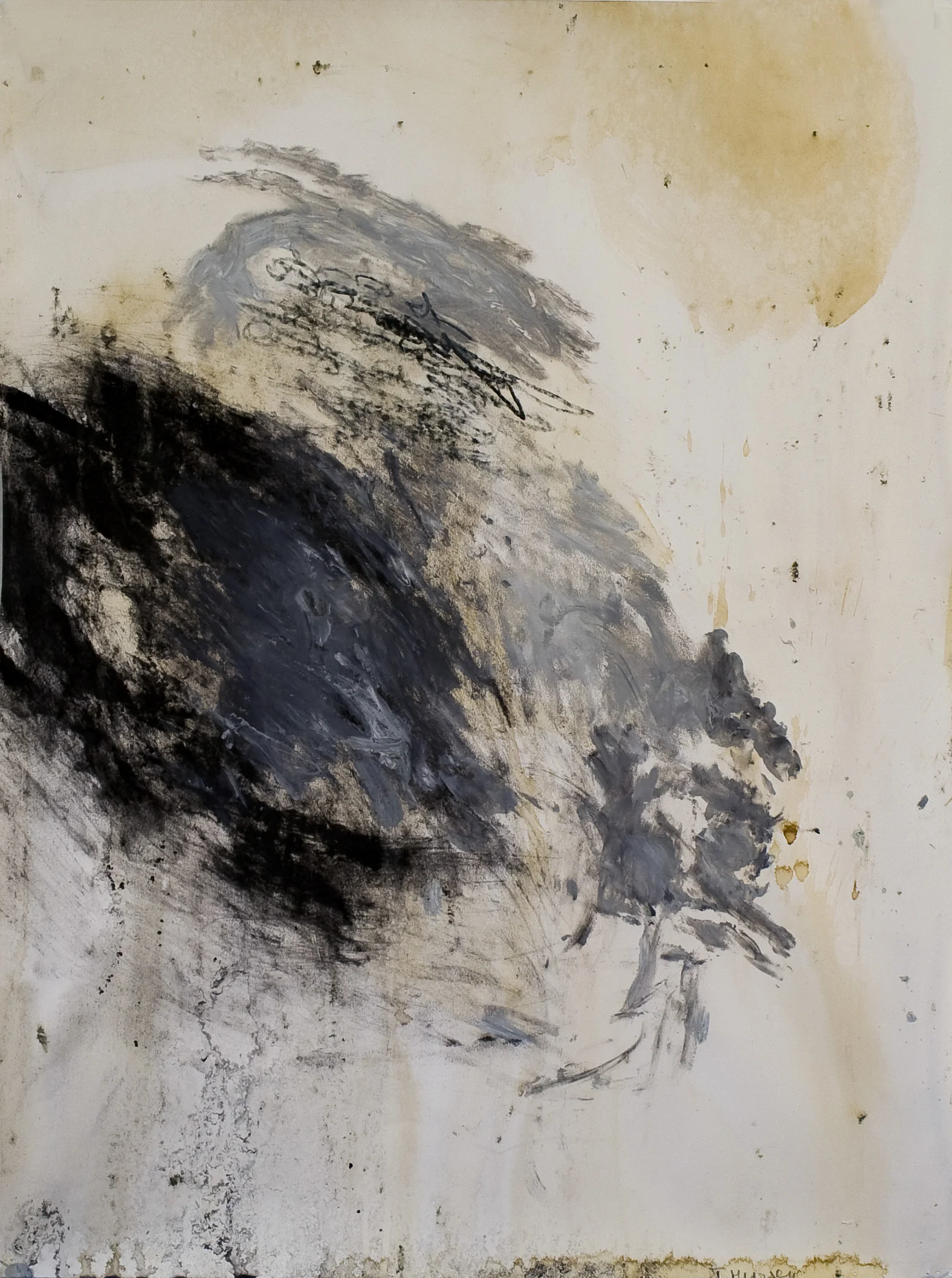 Norwegian Black 1