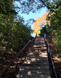 It's time to take the next step...