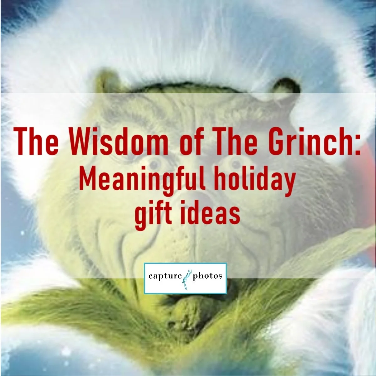 Wisdom of The Grinch_photo gift ideas.jpg