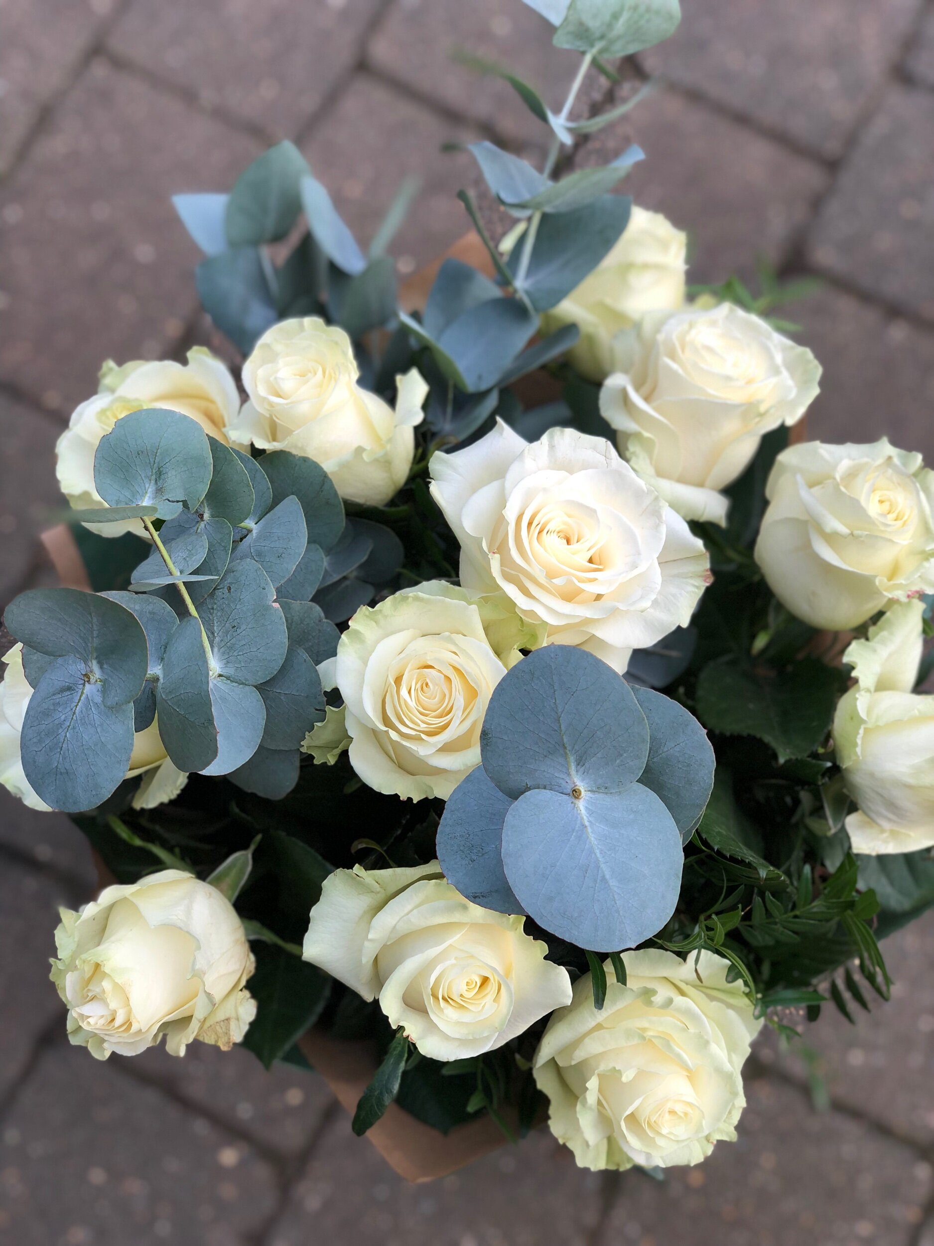 760107B4-A803-4B92-95DD-C308F04E0E9E