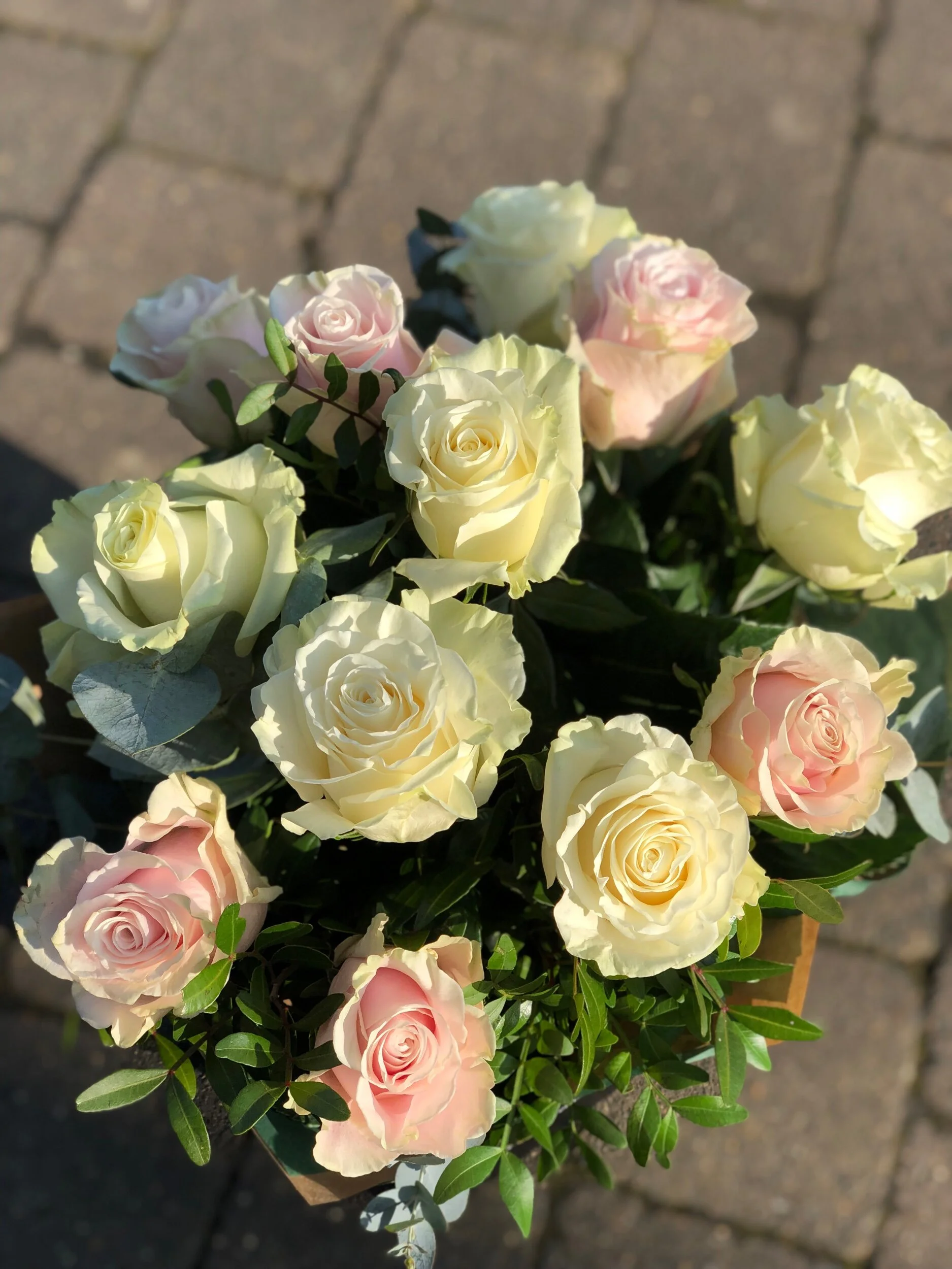 5BE9408E-9023-458A-93E6-53870827C2CB