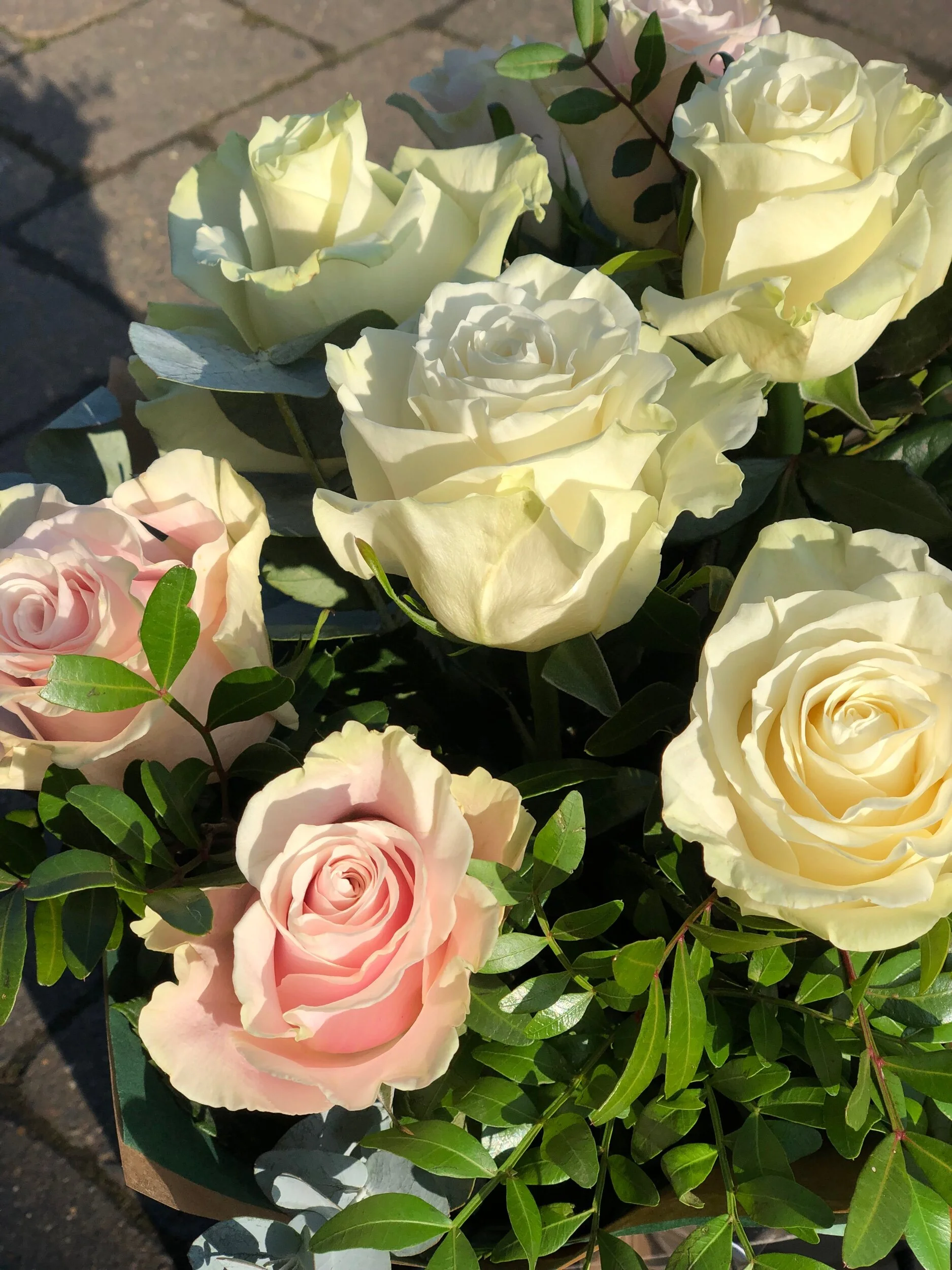 839FFA9A-ECAF-48E6-9233-E789F13A93CE