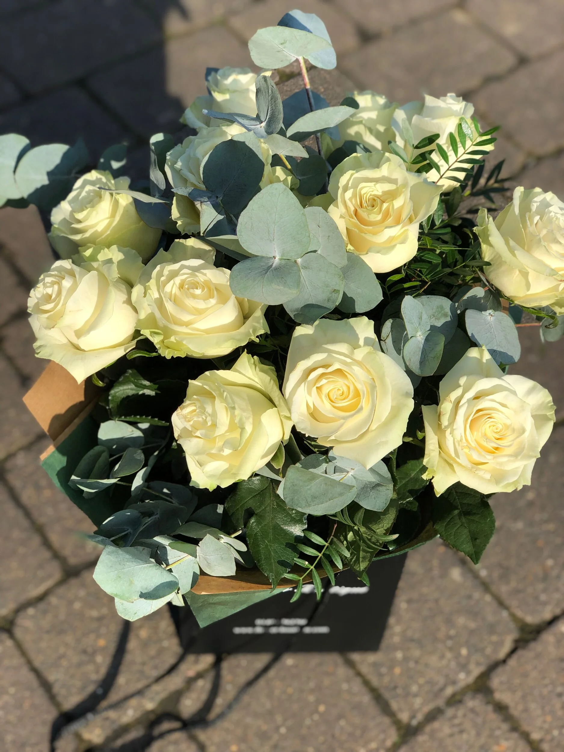 600440DB-C3E1-4145-BA10-BBC12FF265CD