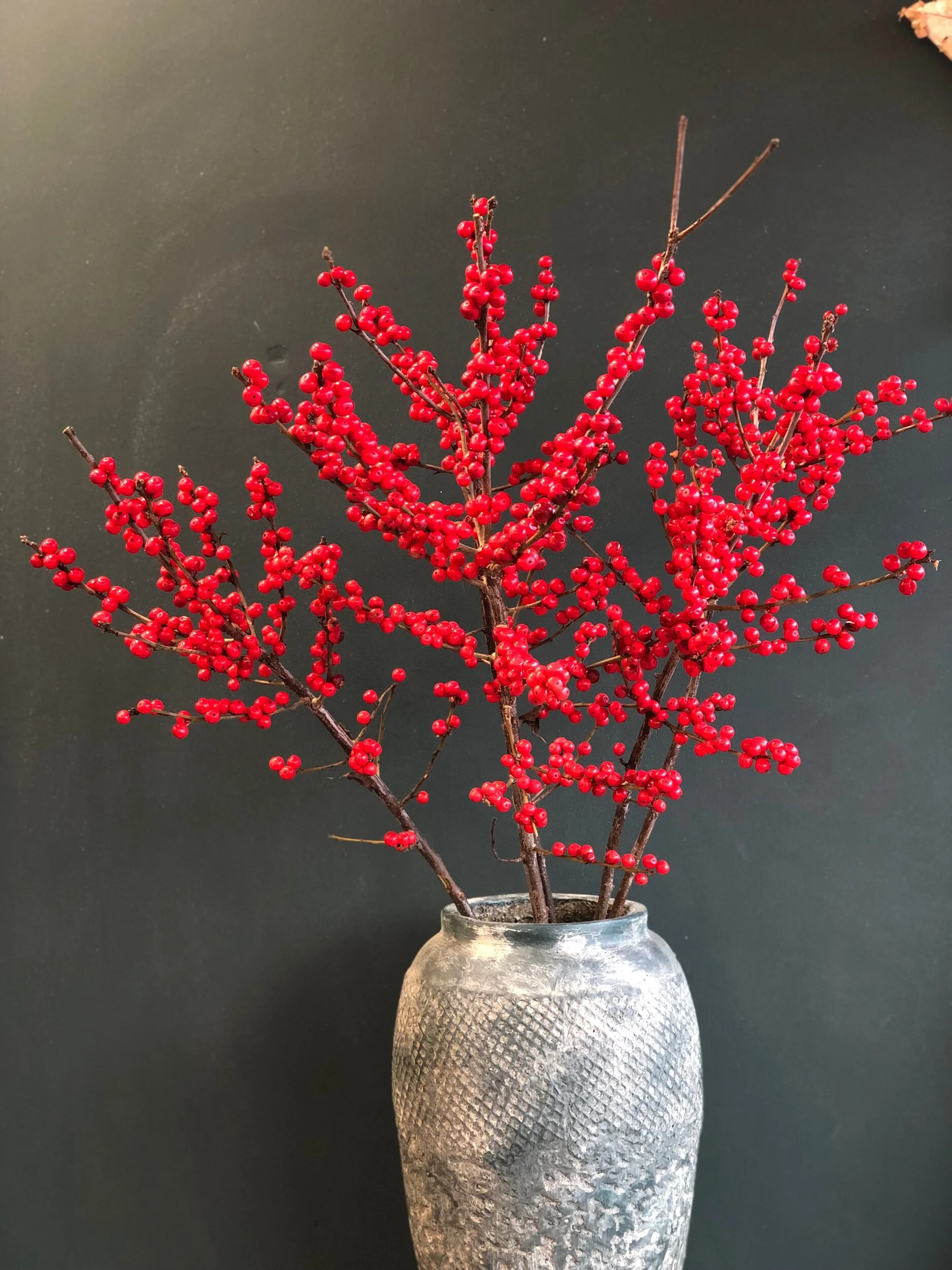 7523B949-6E1A-4A85-B78D-C03178491C2D