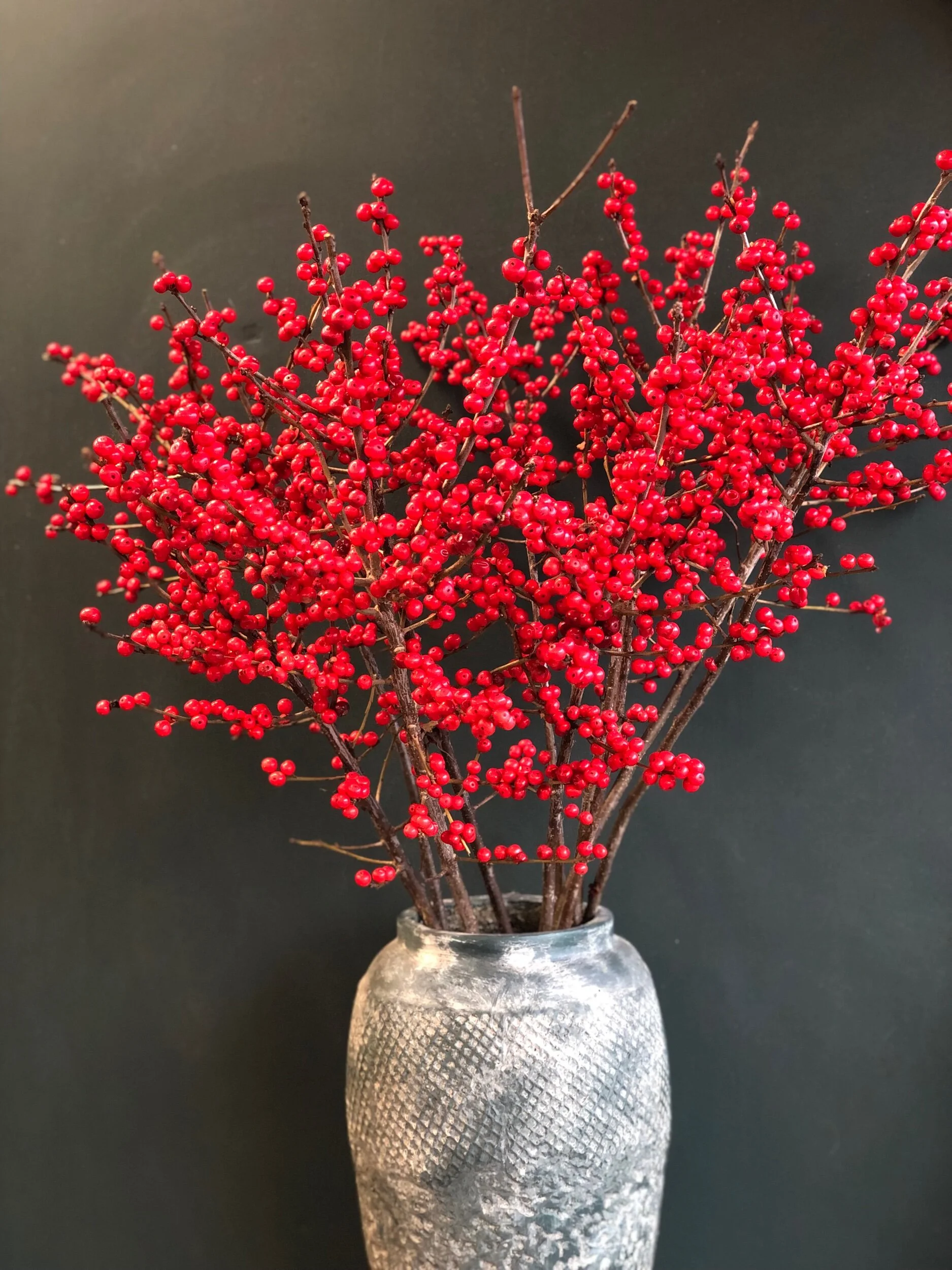 CDA73F2F-4E25-472C-B060-AFACF1AA754C