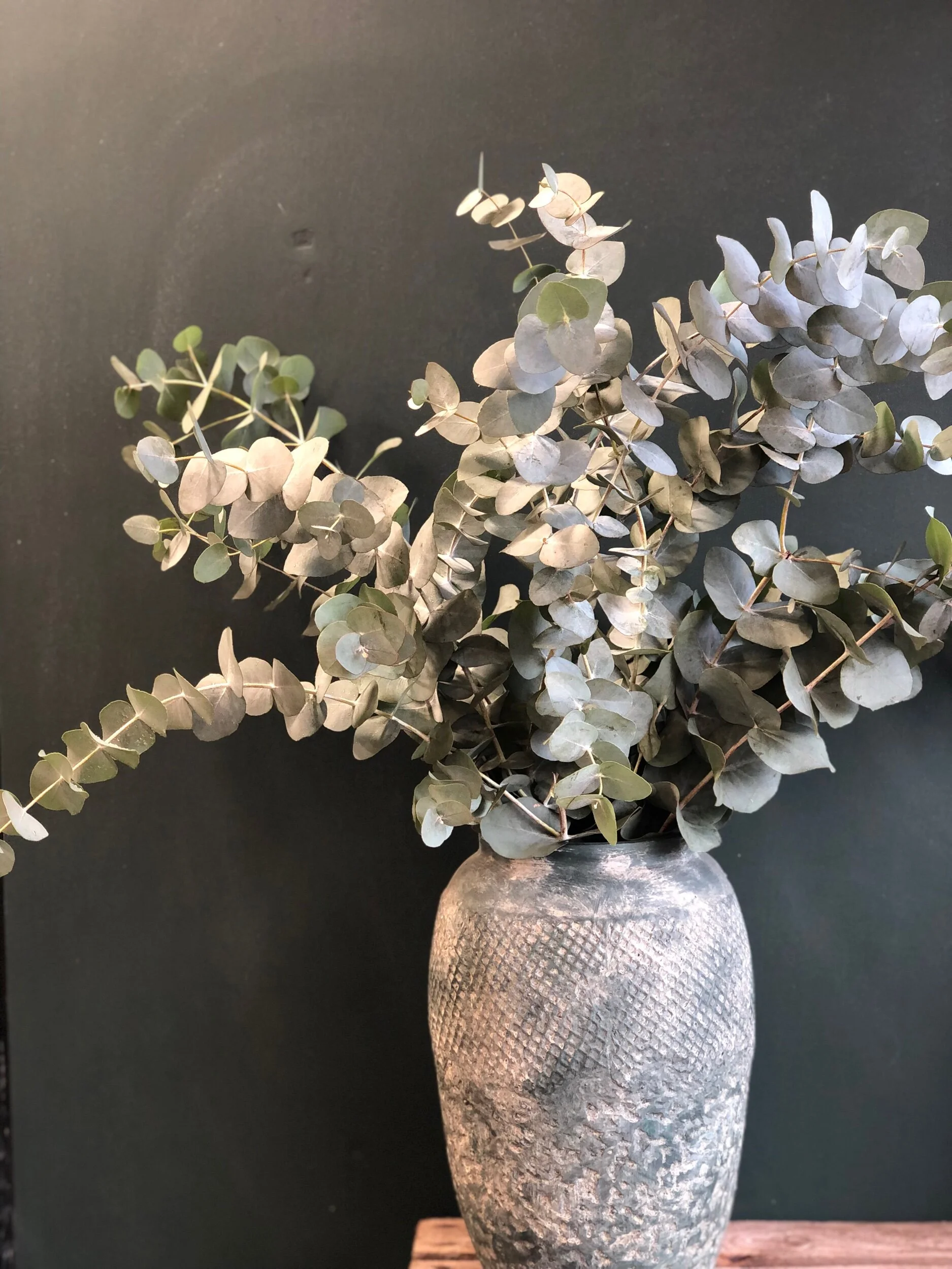 455D0FCF-937B-492B-8CD1-07291A484D74