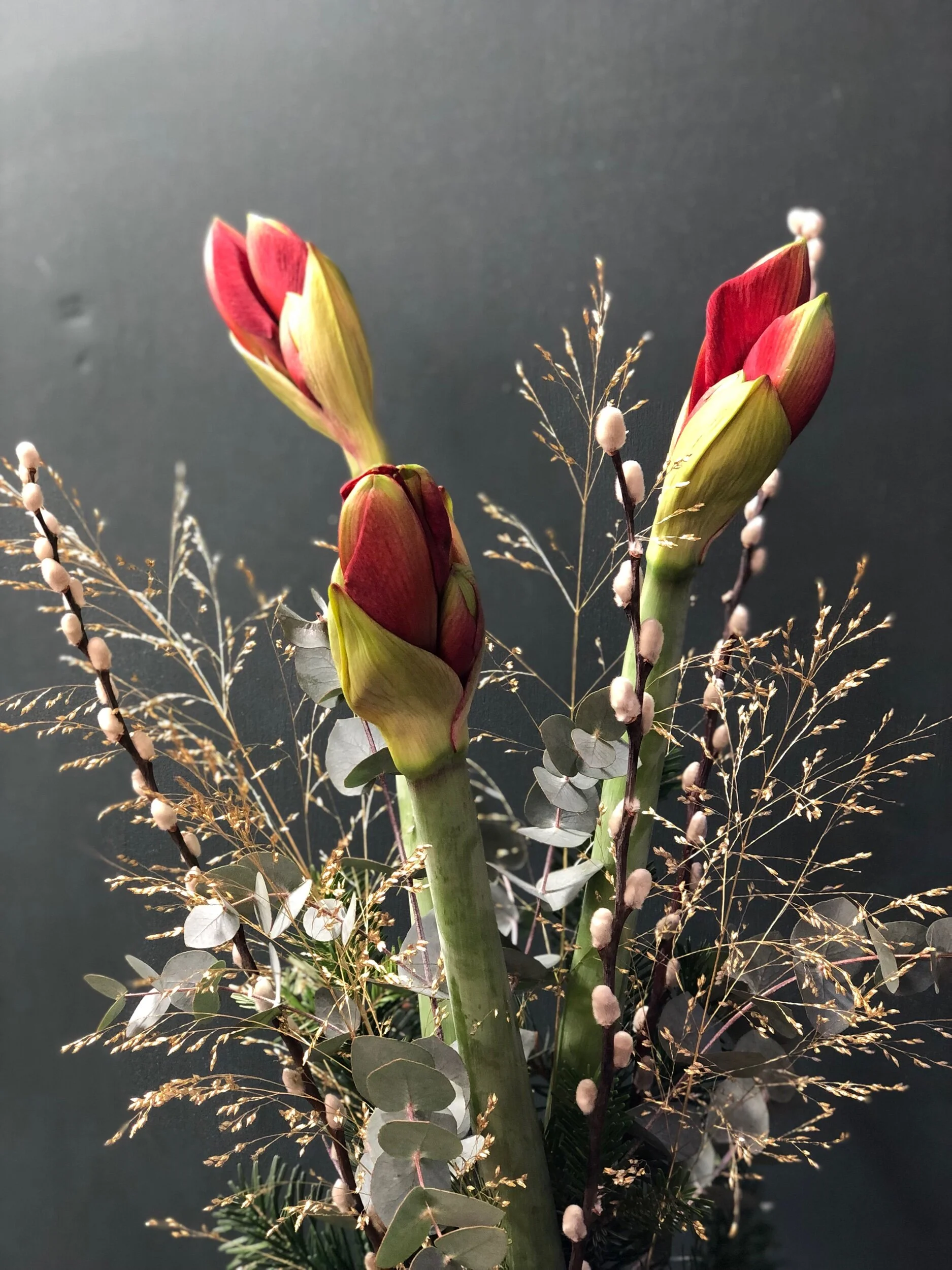 34193941-0F9F-49FB-A341-AB2DB3F95300