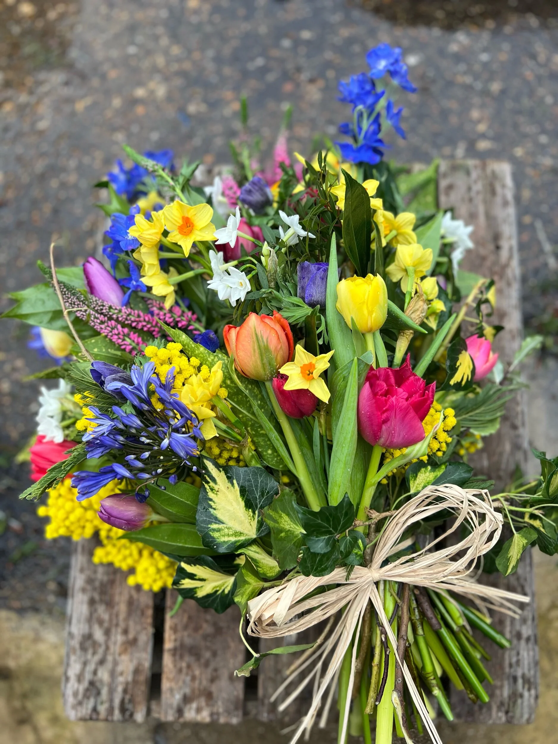 31065983-5BA7-4FC2-BFE4-32F28F02BF7D