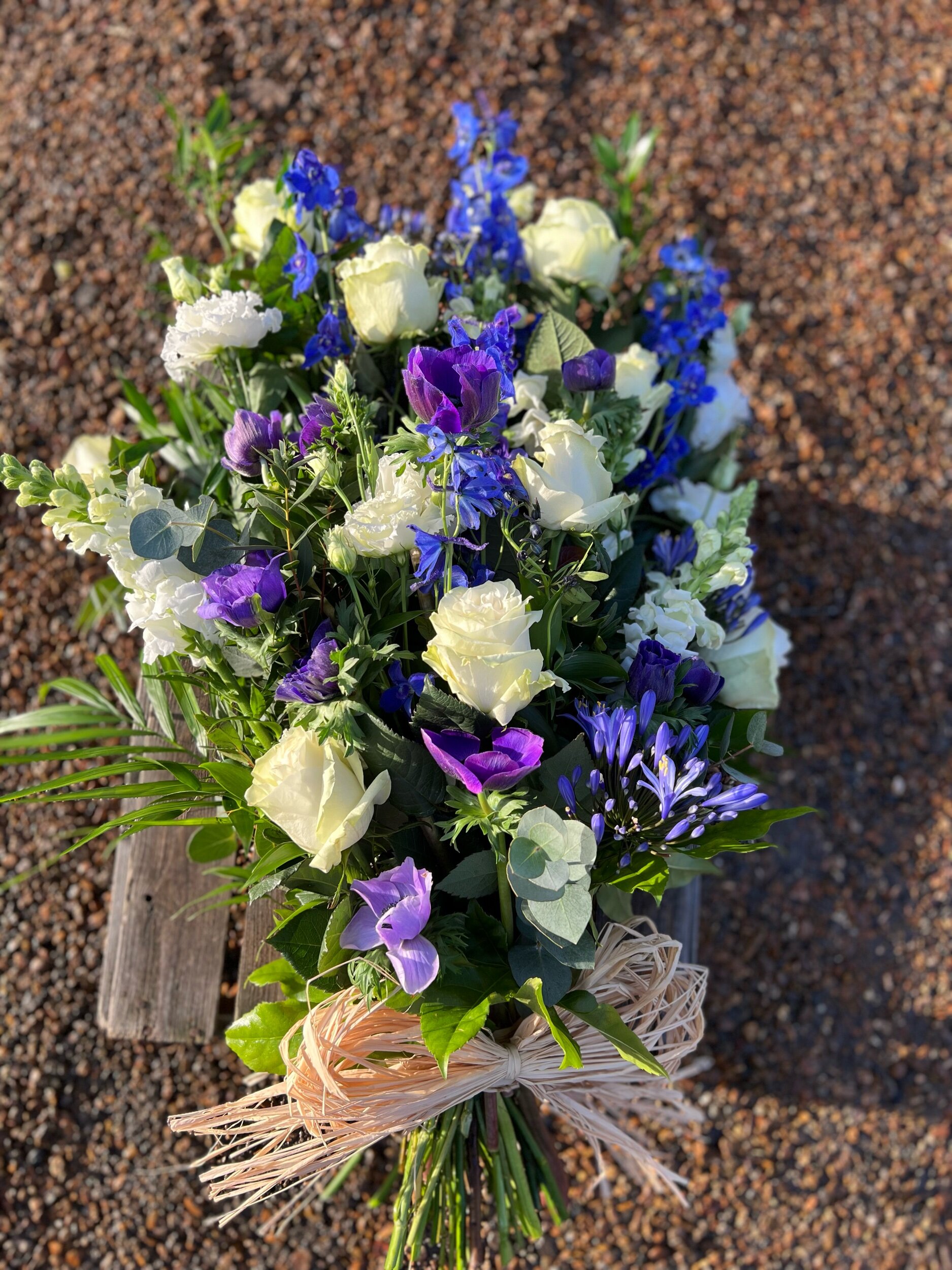 6073DBBE-3440-4006-8710-CE7D56A1DE2E