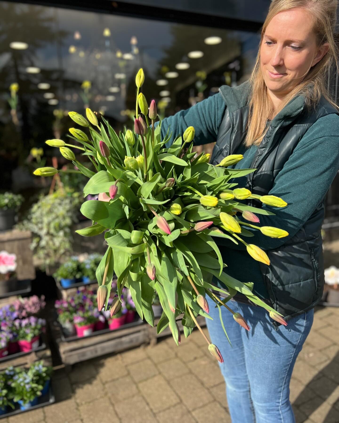 The sun is shining and our shop grown tulips are starting to fill the shop 🌷🫶

We&rsquo;re open 9-4pm and would love to see you!

#littlechalfont #tulips #freshflowers #locallygrown #shoplocal #springflowers