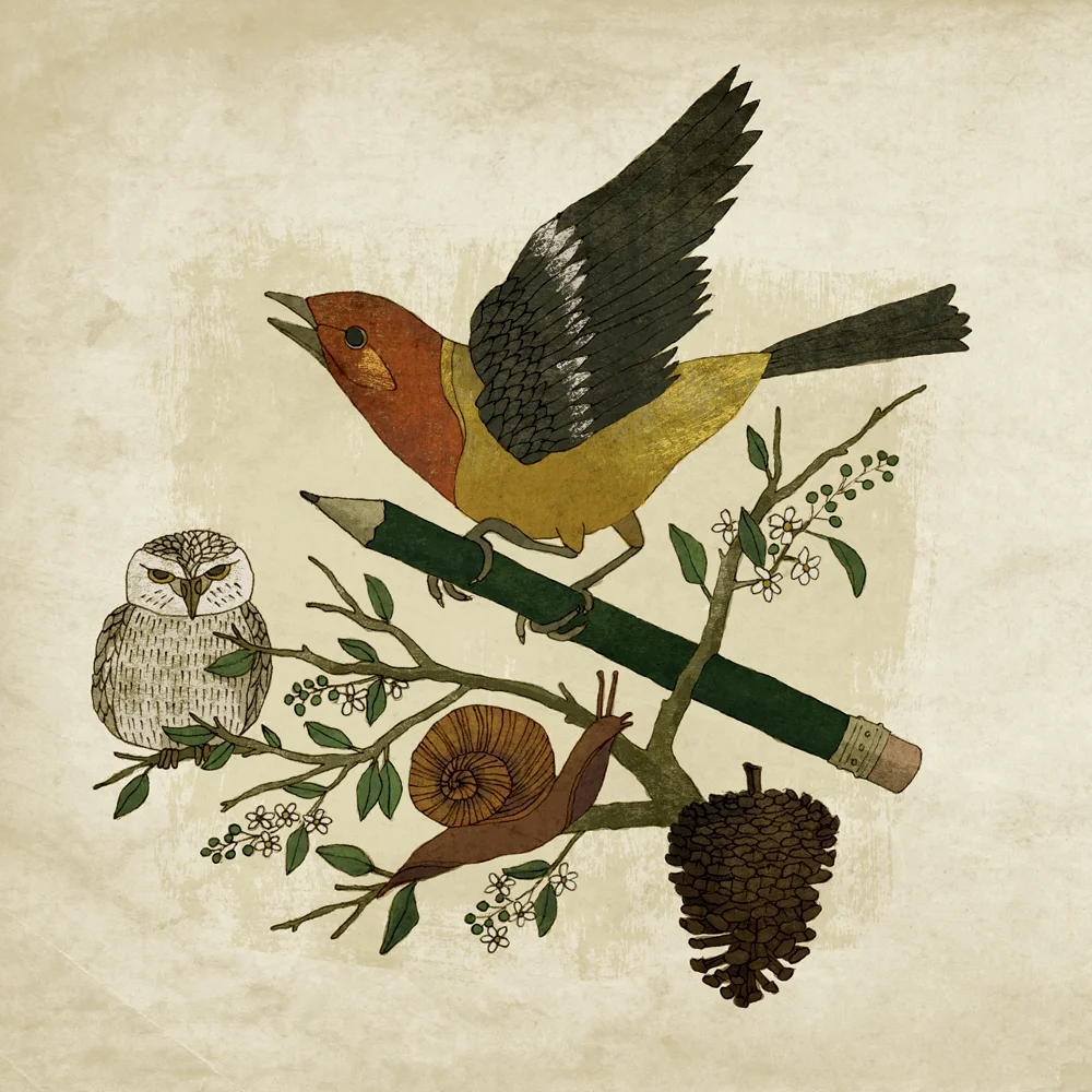 DG_dfr_bird.jpg