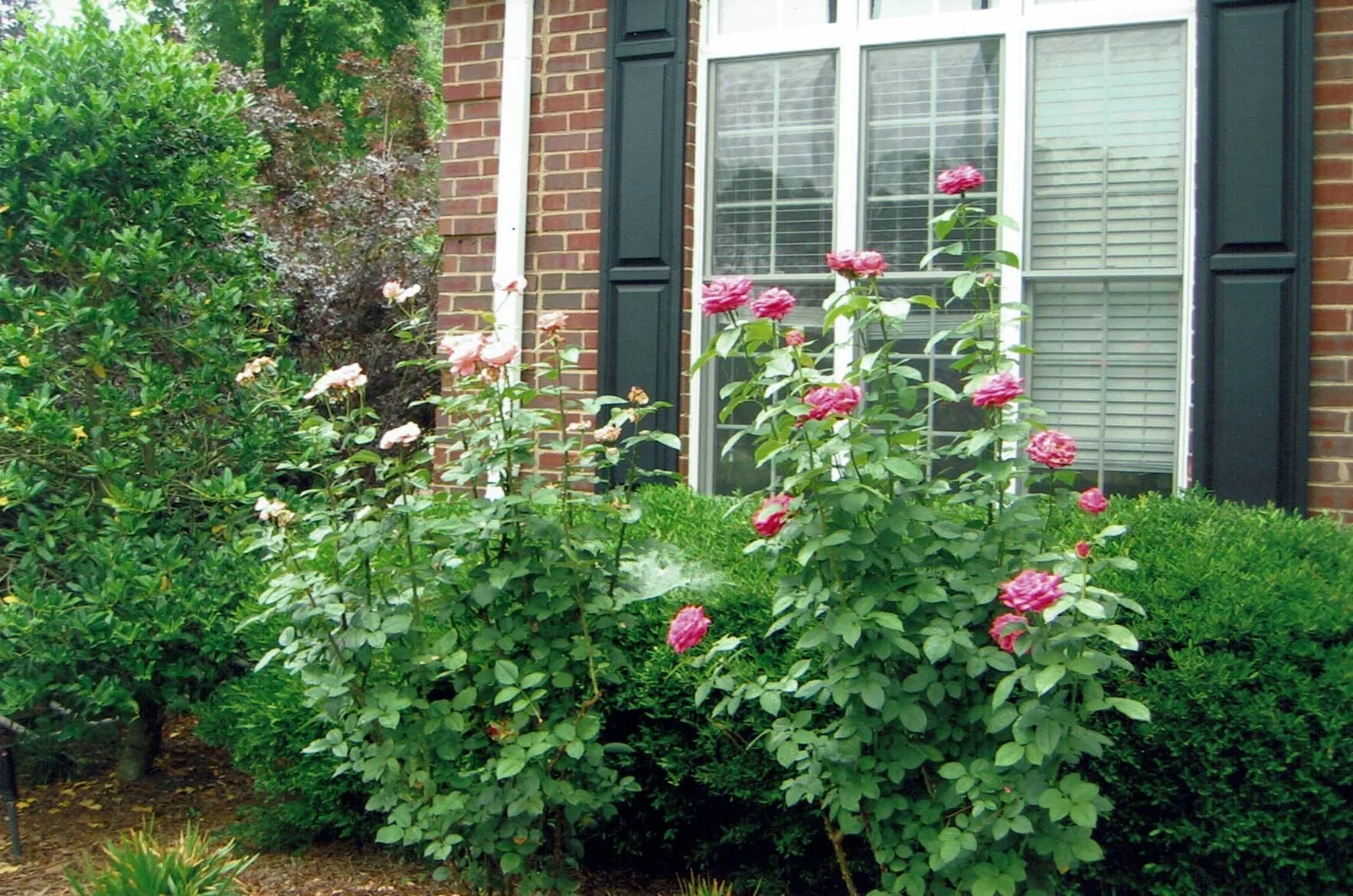 CCI02082023_0004.jpg