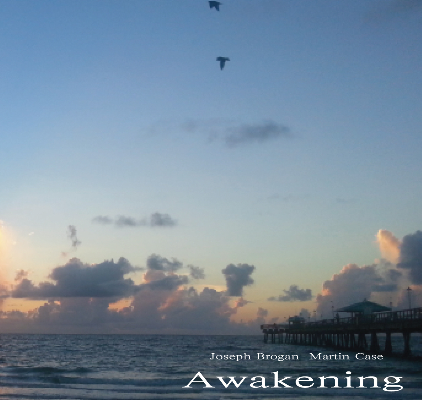  Awakening 2013 