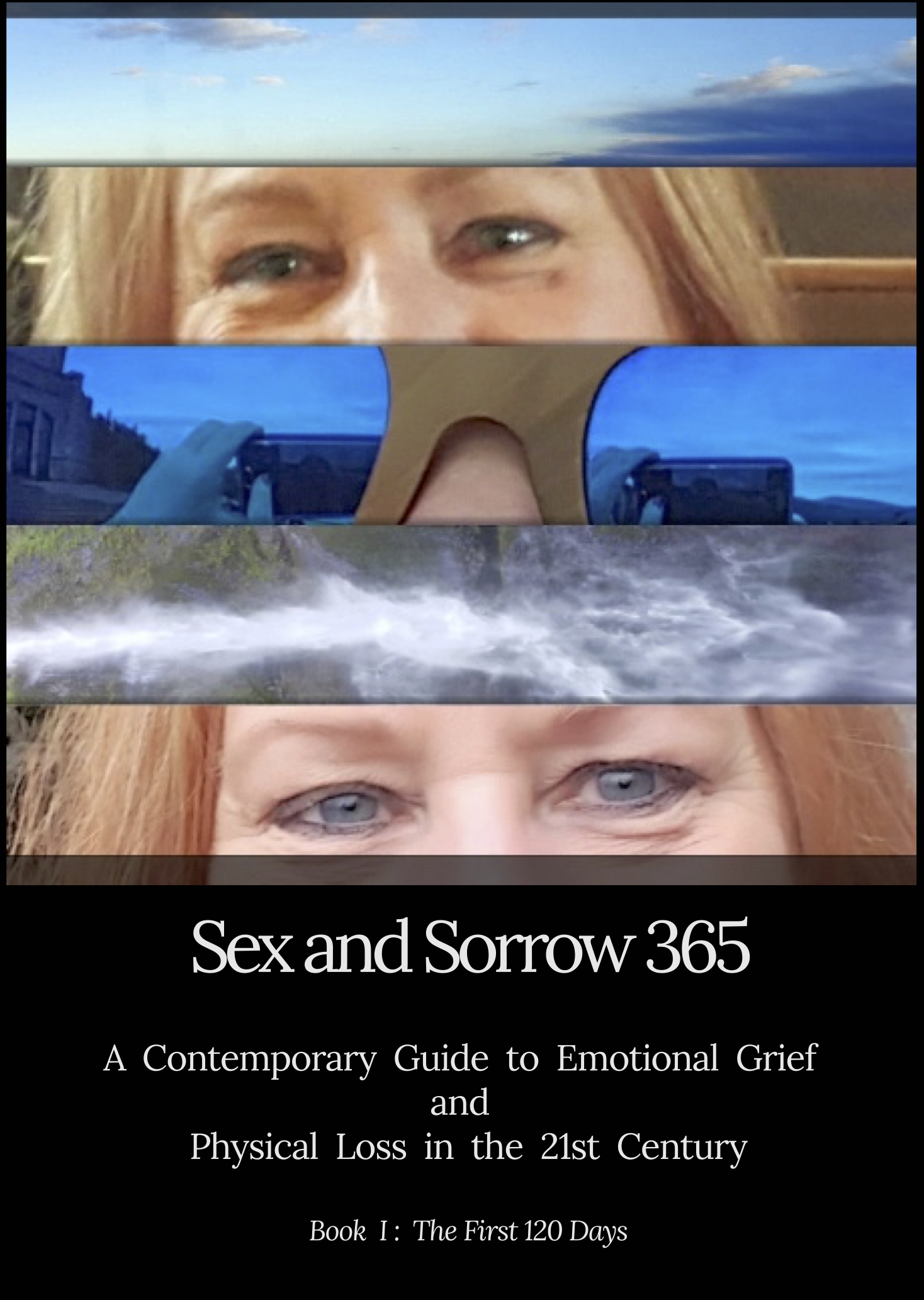 Drake Book Cover Sex and Sorrow.jpg