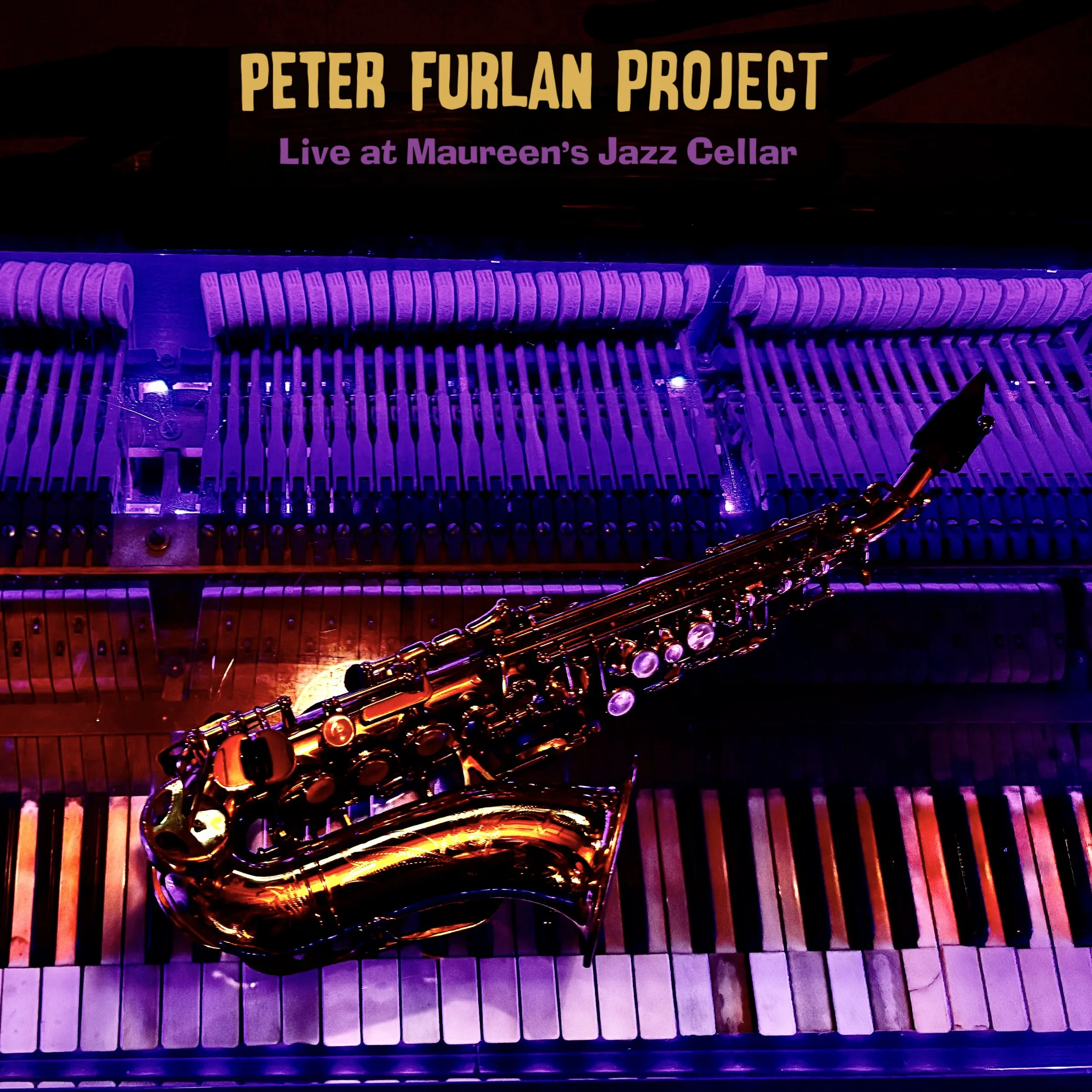 Cover Peter Furlan Project.jpg
