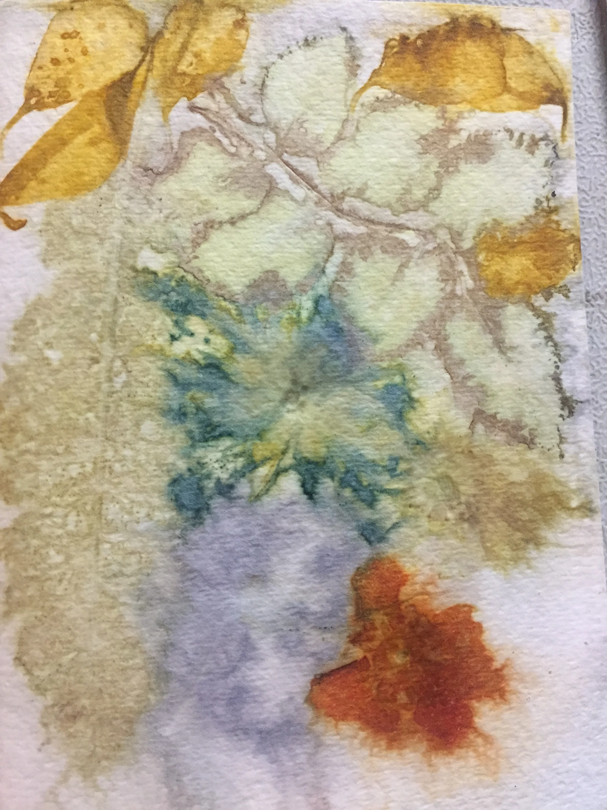 Eco print on watercolor paper.