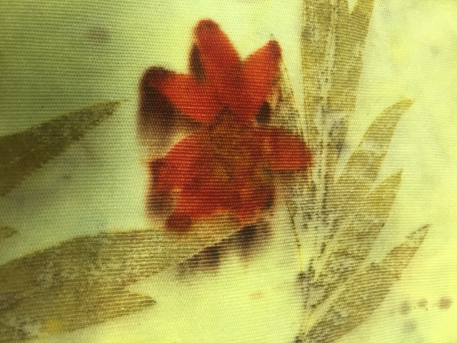 Print of yellow coreopsis blossom and grevillea on silk jersey.