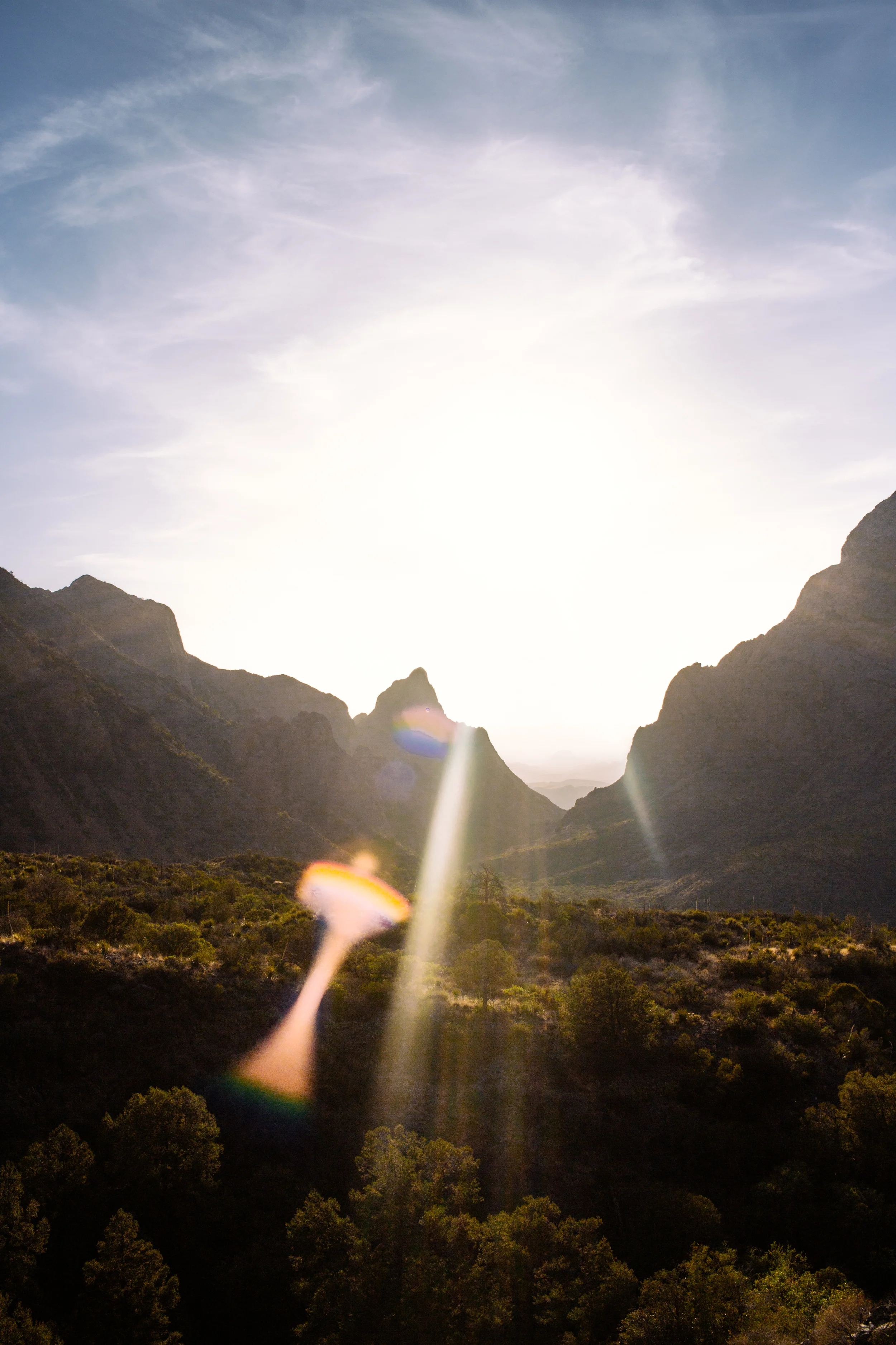 BigBend2014-581.jpg
