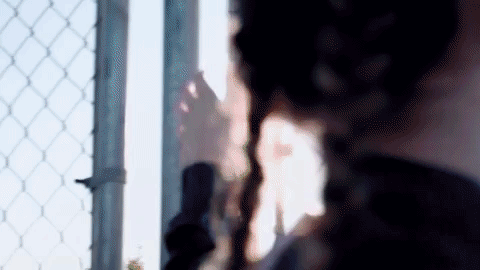 giphy (2).gif