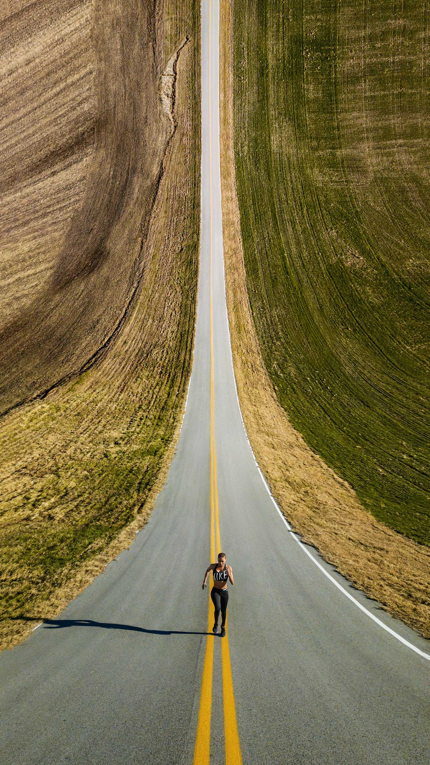 THE ROAD