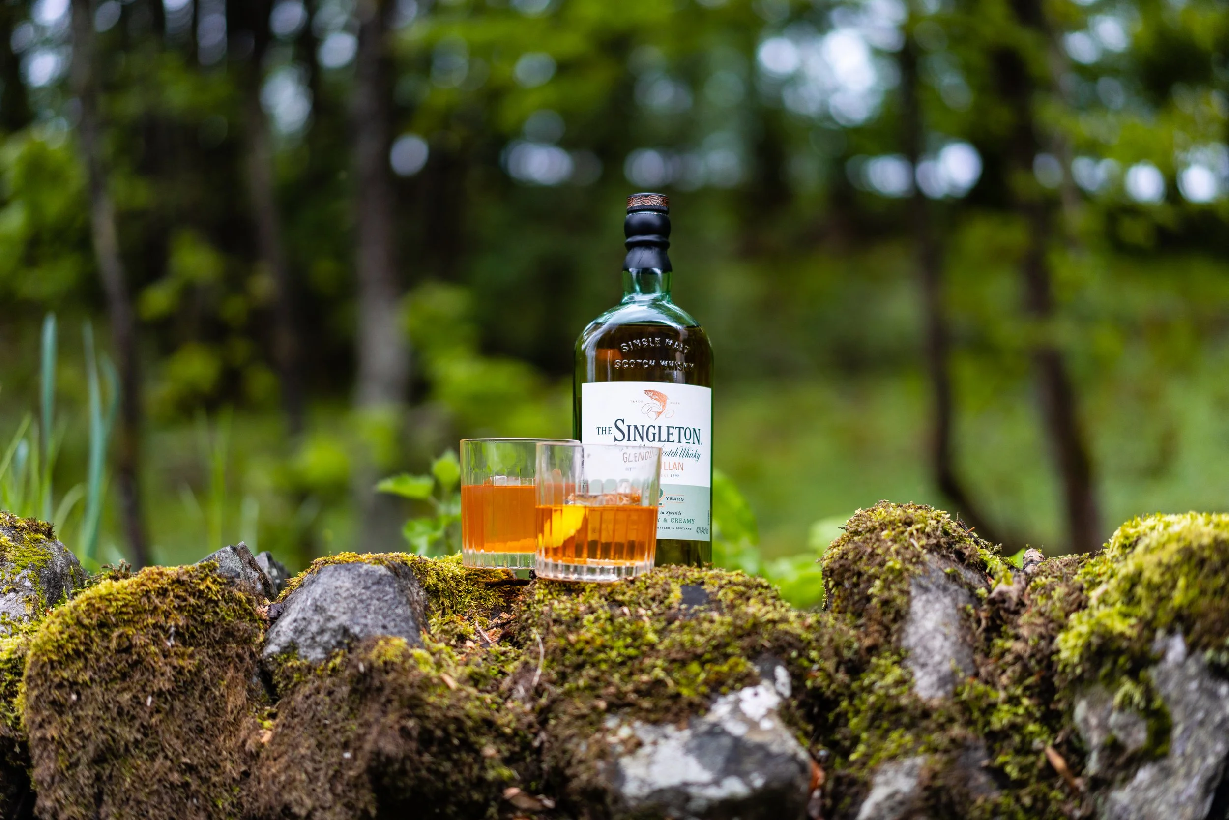 Singleton-121.jpg