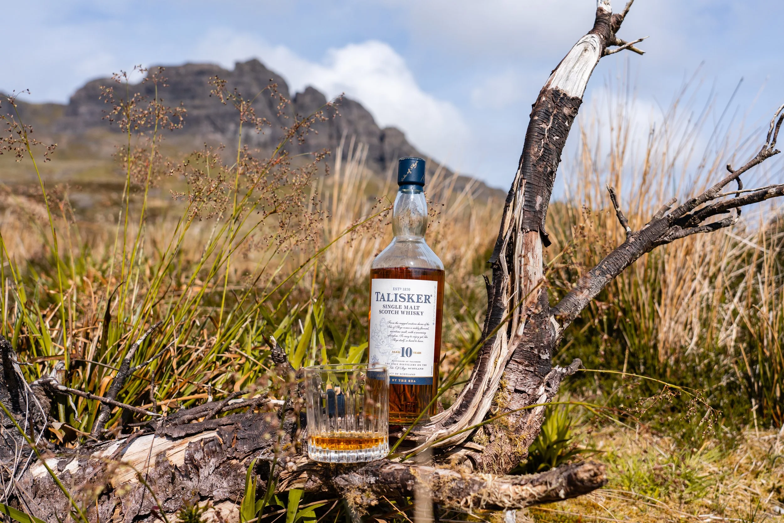 Skye-65.jpg