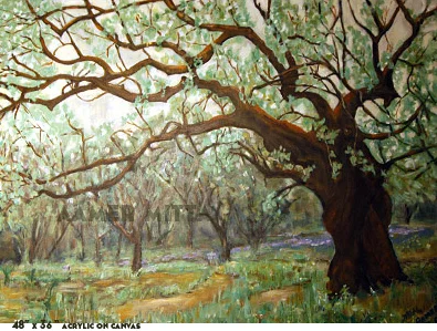 Naxos Oak - Sold