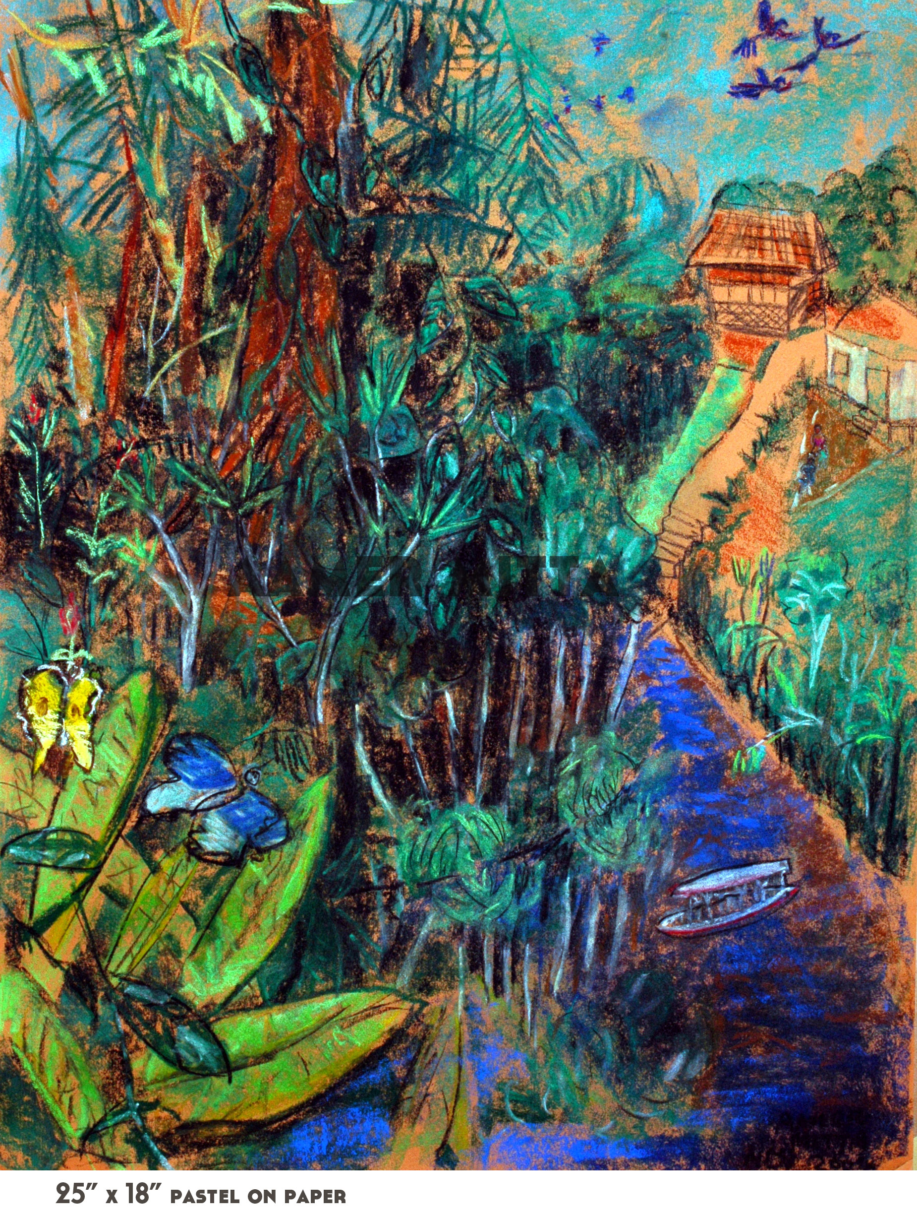 Heath River, Bolivia - Sold