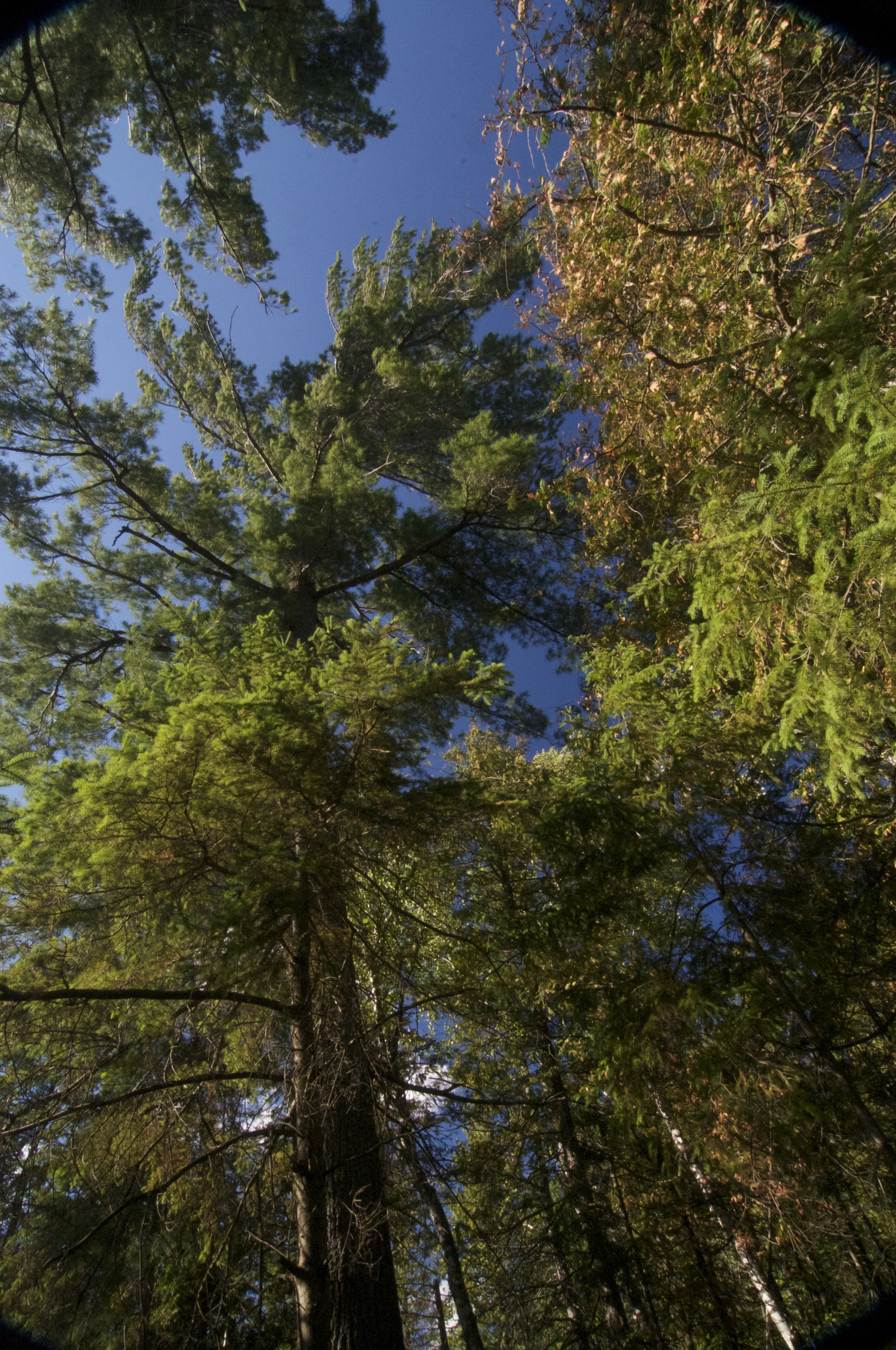 Blue Sea Lake, Quebec, Canada