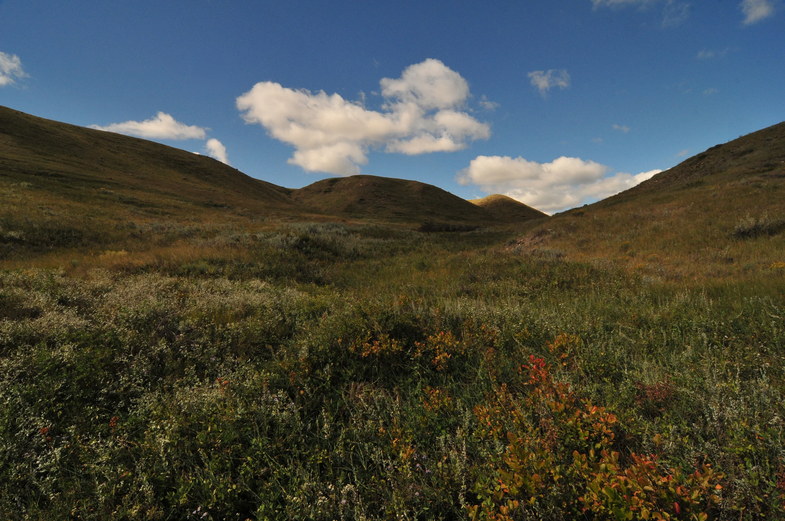 Grasslands Nat. Park, Saskatchewan, Canada