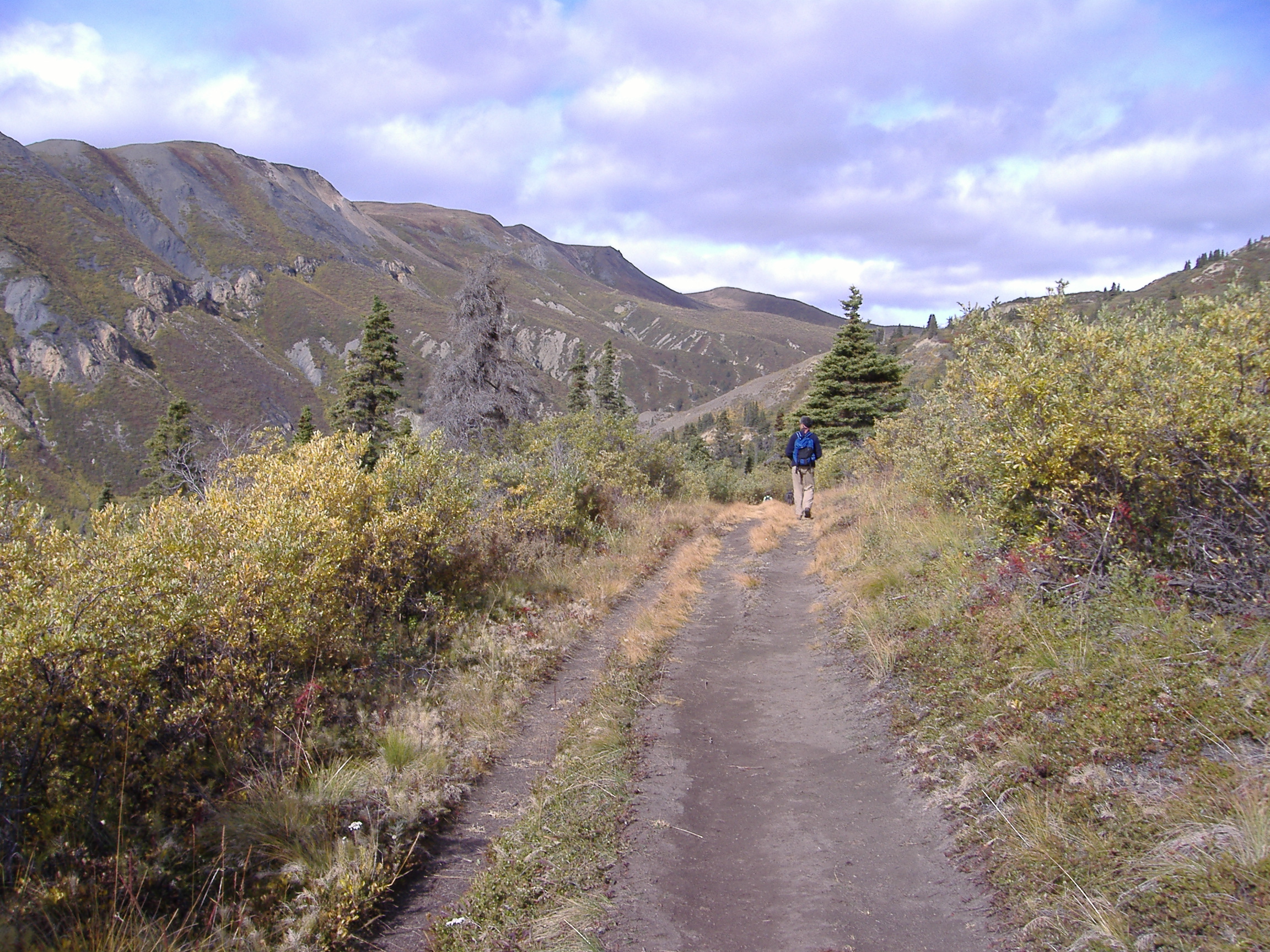 Kluane National Park, Yukon, Canada