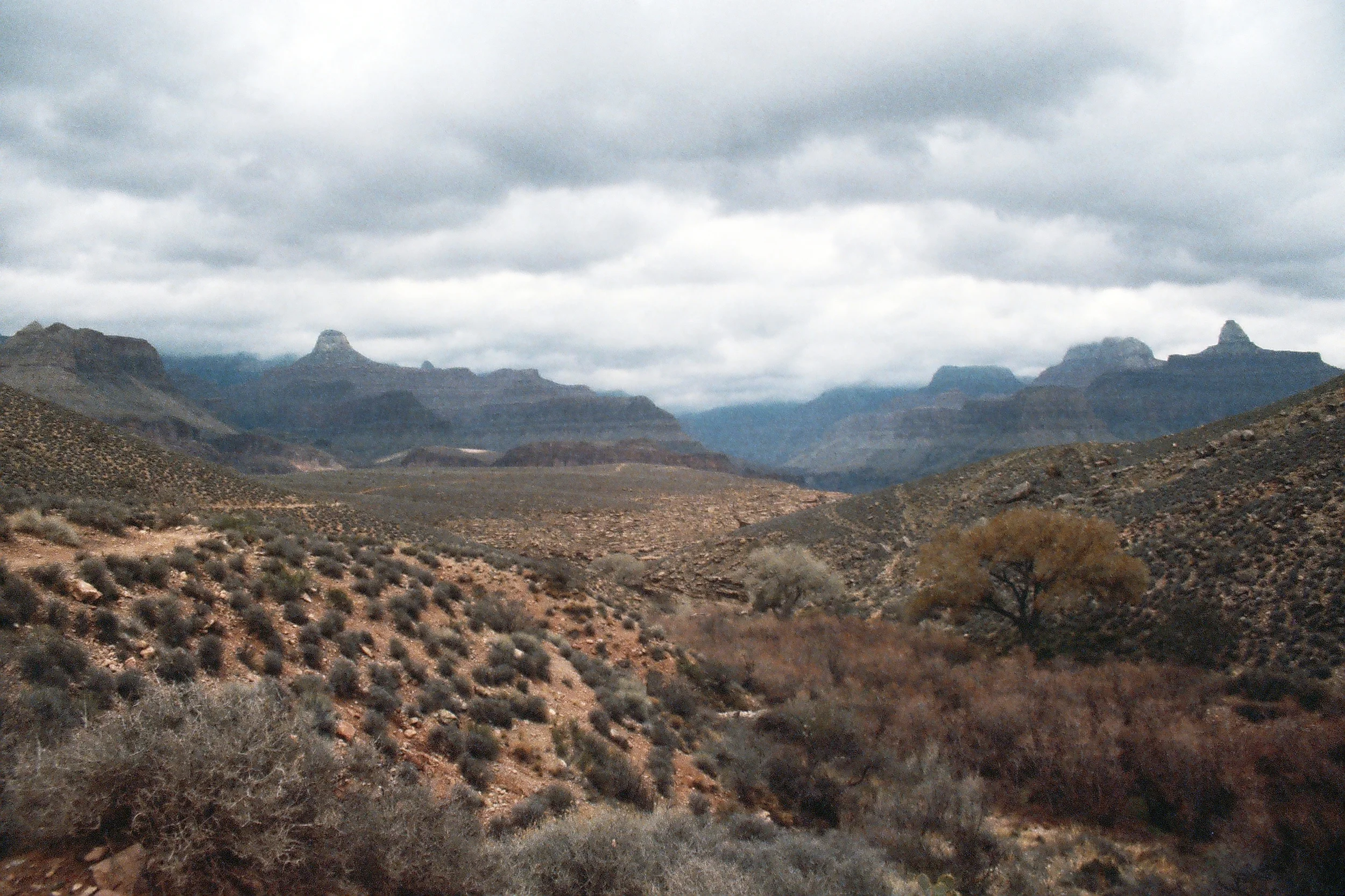 Grand Canyon Nat. Park, Arizona, USA