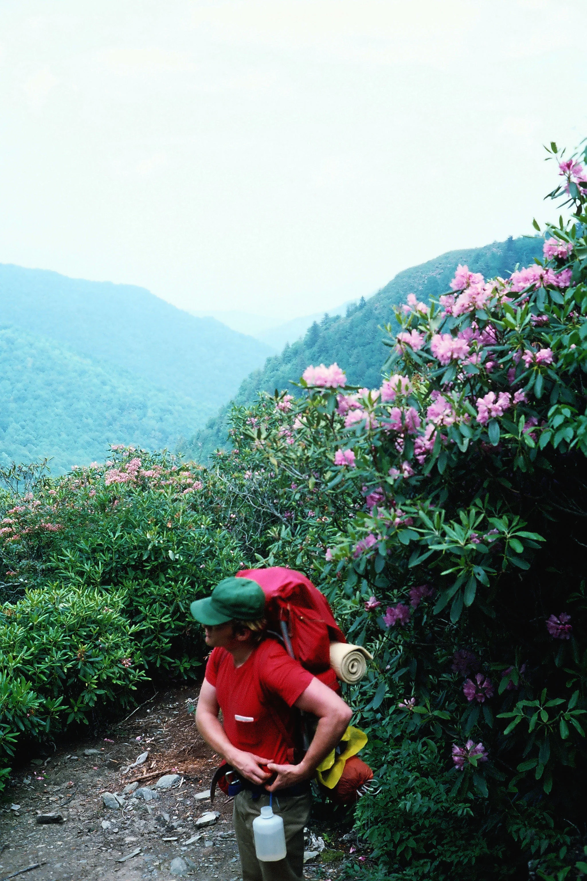Great Smoky Mountains National Park, North Carolina, USA