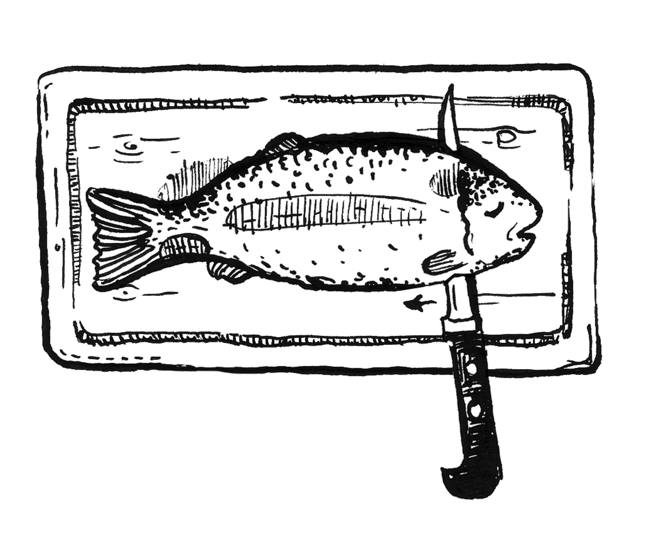 AQ_DerFranz_Fisch_2.jpg