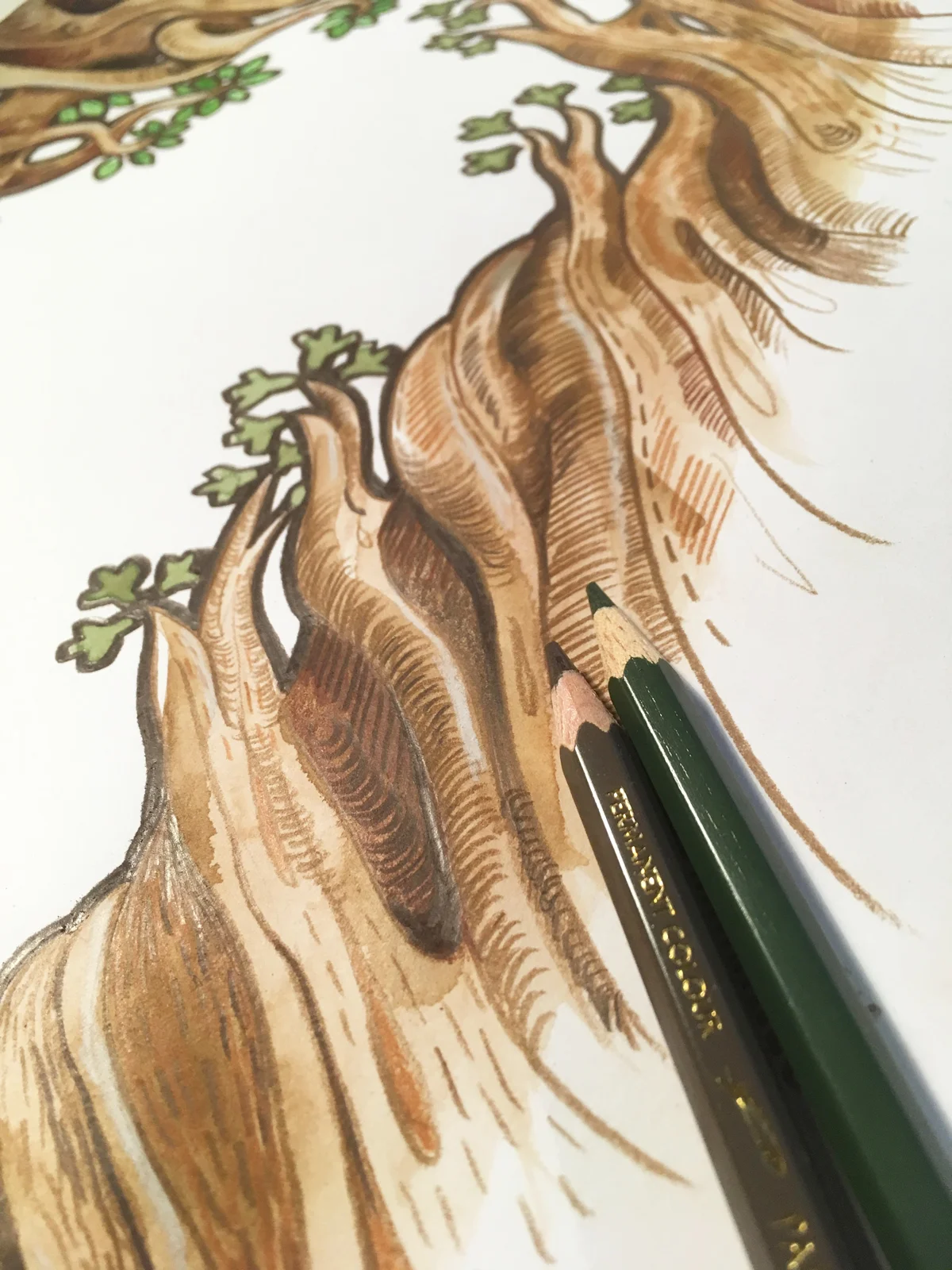 AQ_tree_wip.jpg