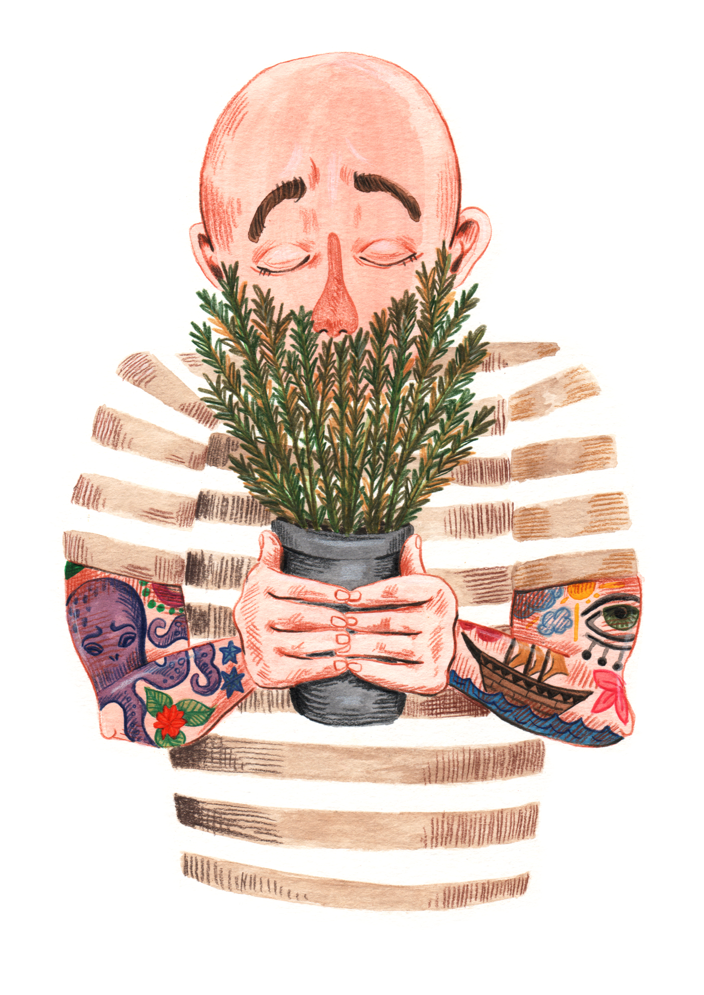 Illustration Mr Rosemary for Flow