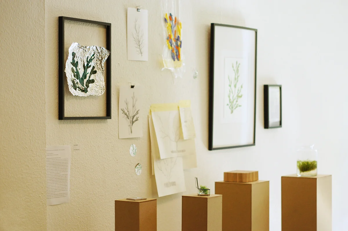 Anne Quadflieg BA Show 2019 ALGE Projekt_Exhibition_1.jpg