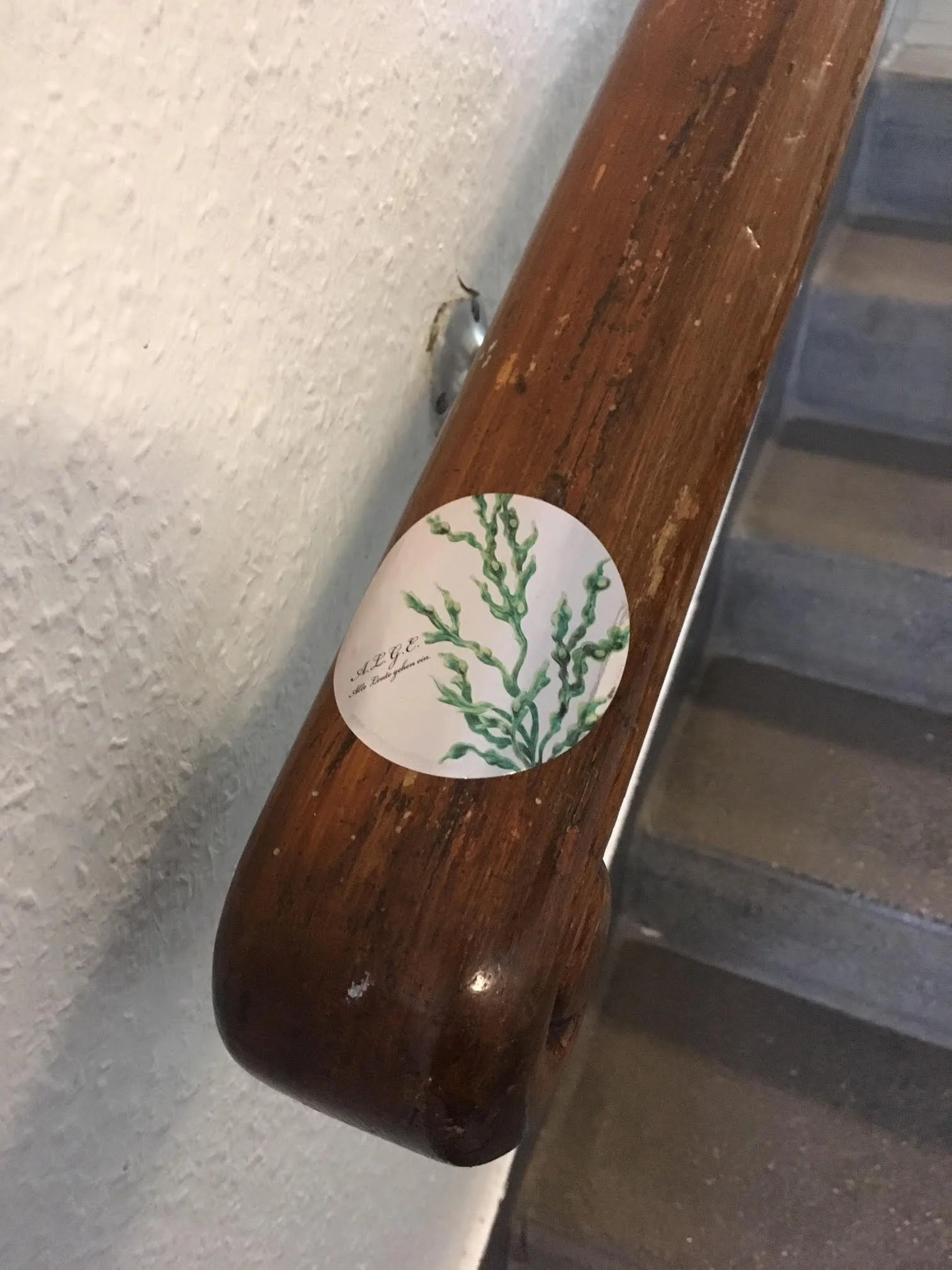 Anne Quadflieg BA Show 2019 ALGE Projekt_Sticker_5.jpg