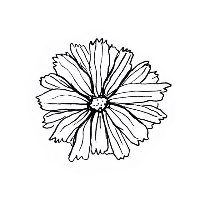 A few little black and white drawings for a logo development. Happy Weekend everybody!
.
.
#drawing #flowerdrawing #blossomdrawing #illustration #onmydesk #annequadflieg #blackandwhite #blackandwhitedrawing #icondrawing #vignittedrawing #vignetten #f