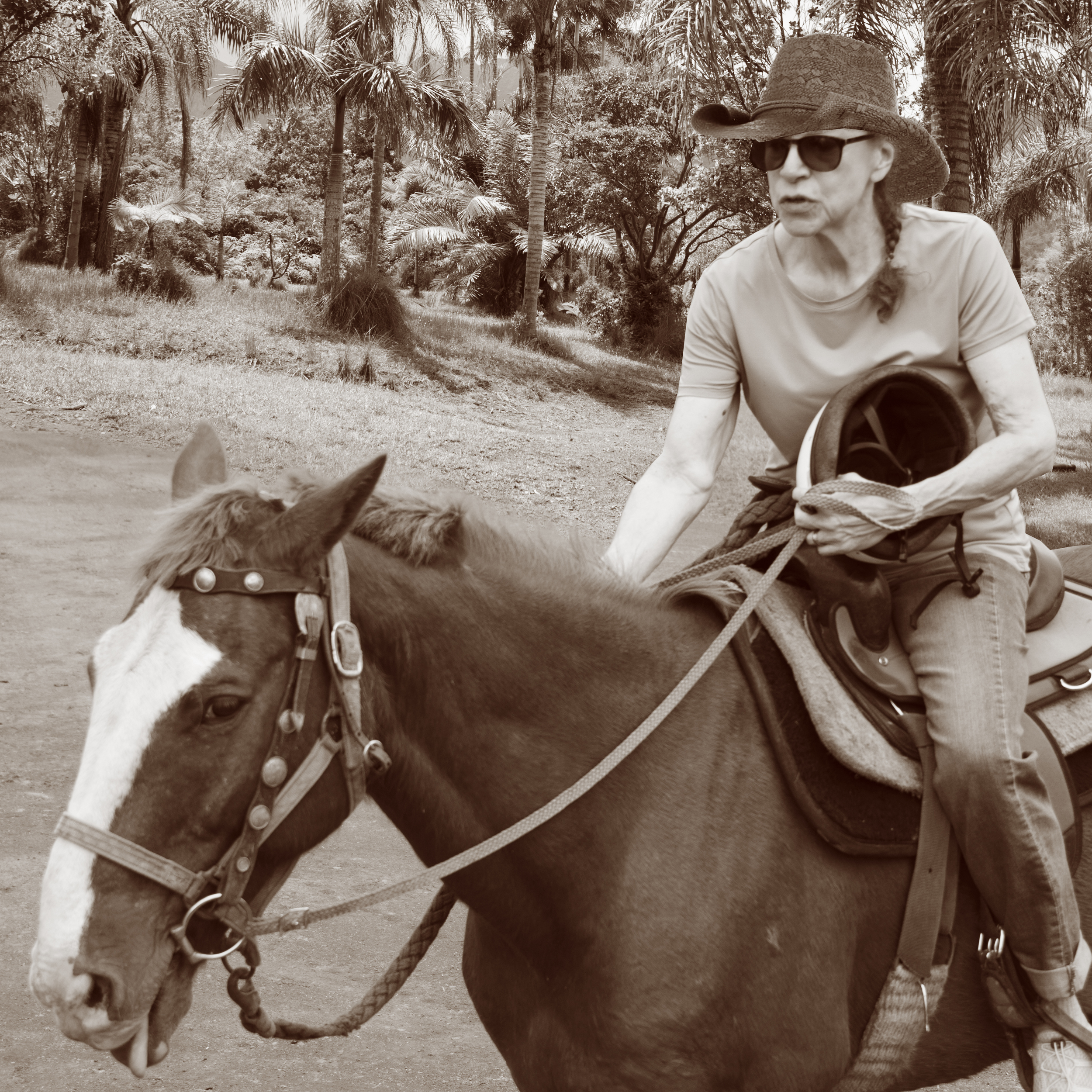 Rita-Kauai-Horseback.jpg