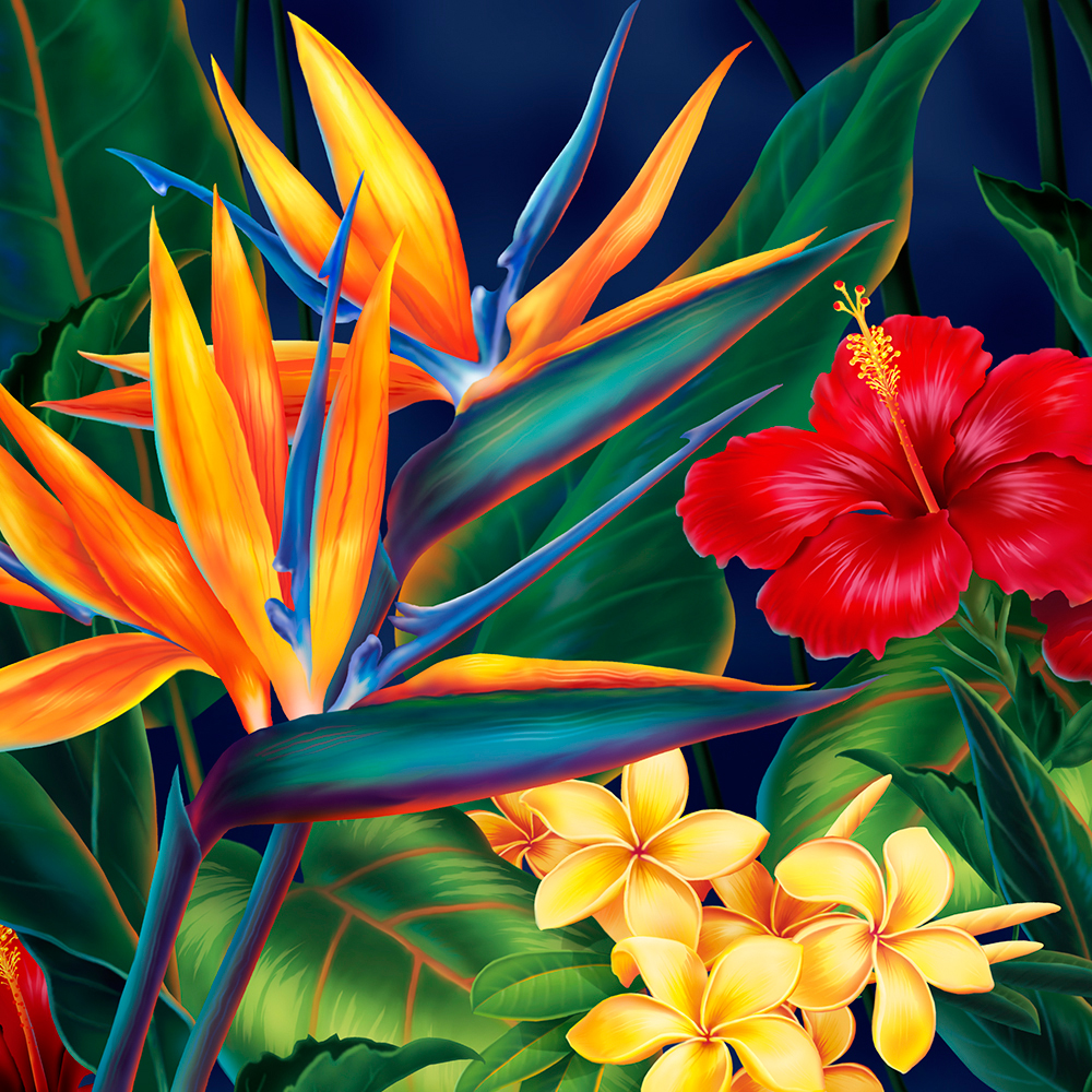 Tropical Paradise Hawaiian Birds of Paradise Illustration