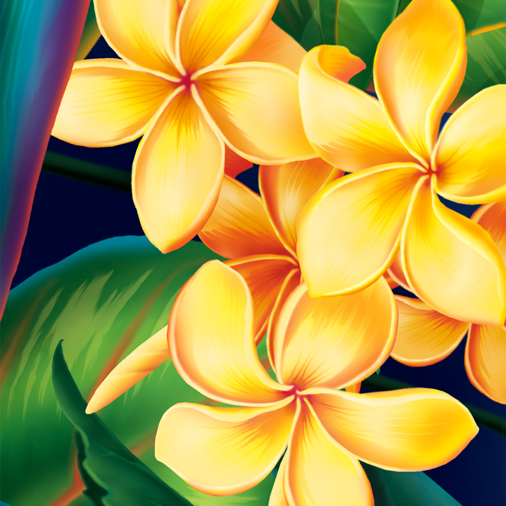 Tropical Paradise Hawaiian Plumeria Illustration