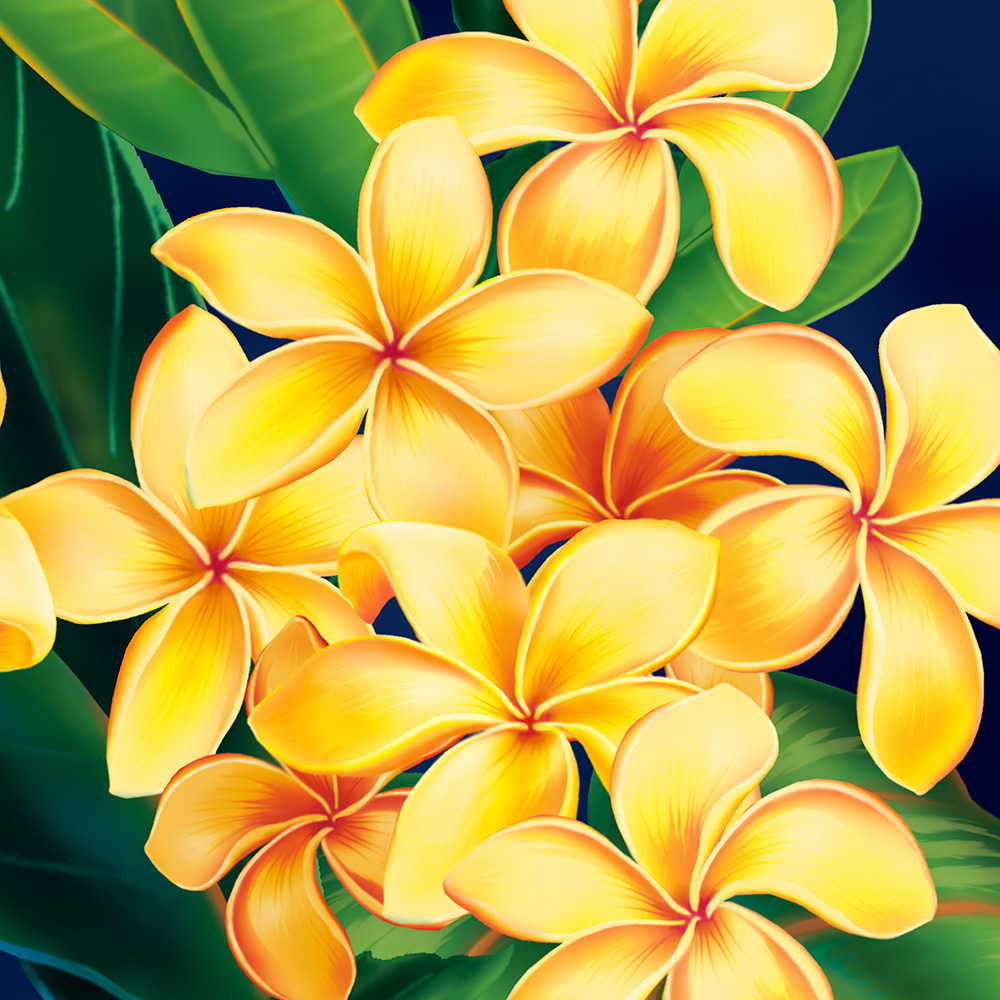 Tropical Paradise Plumeria Hawaiian Case