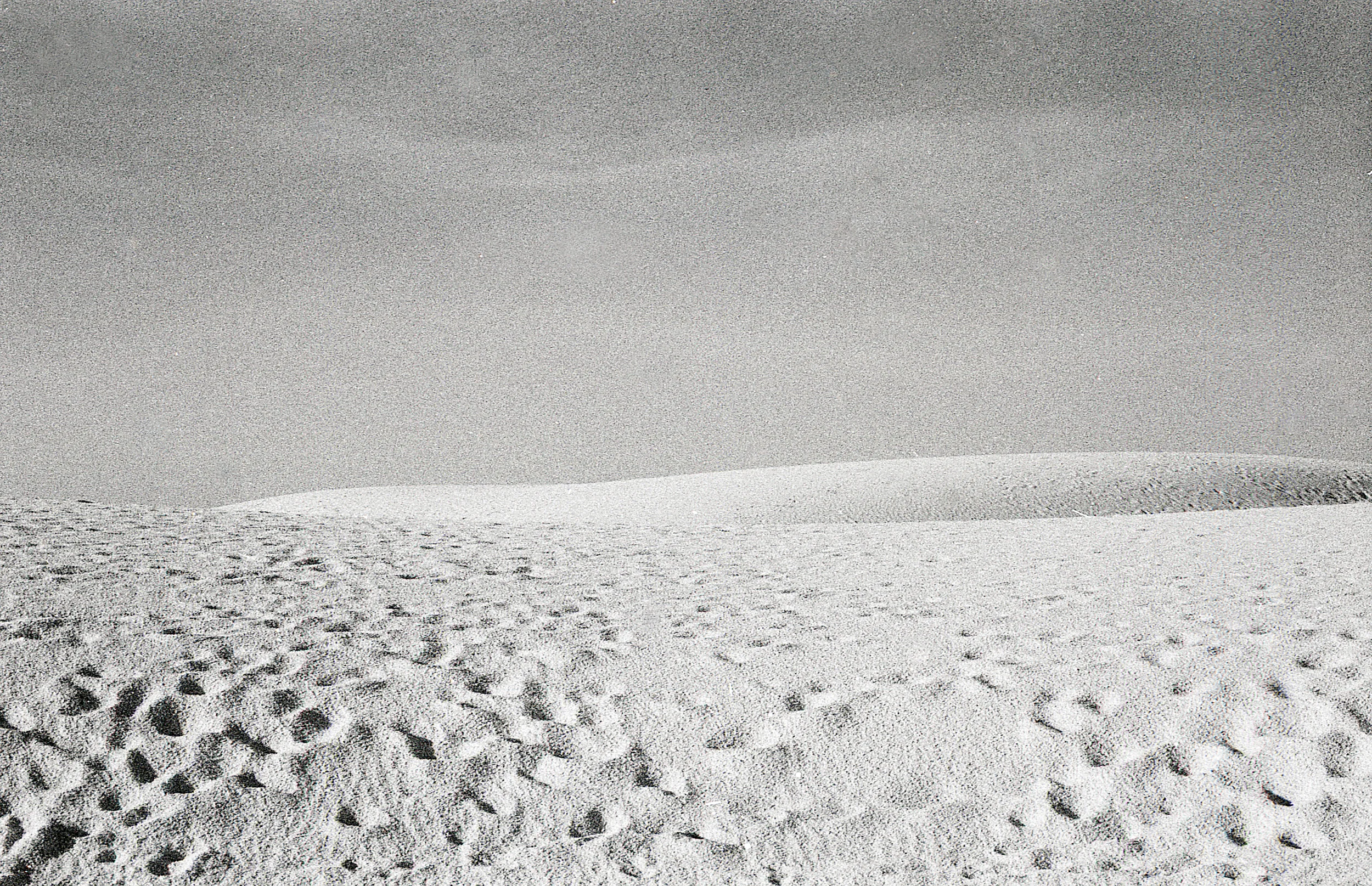 White Sands, NM