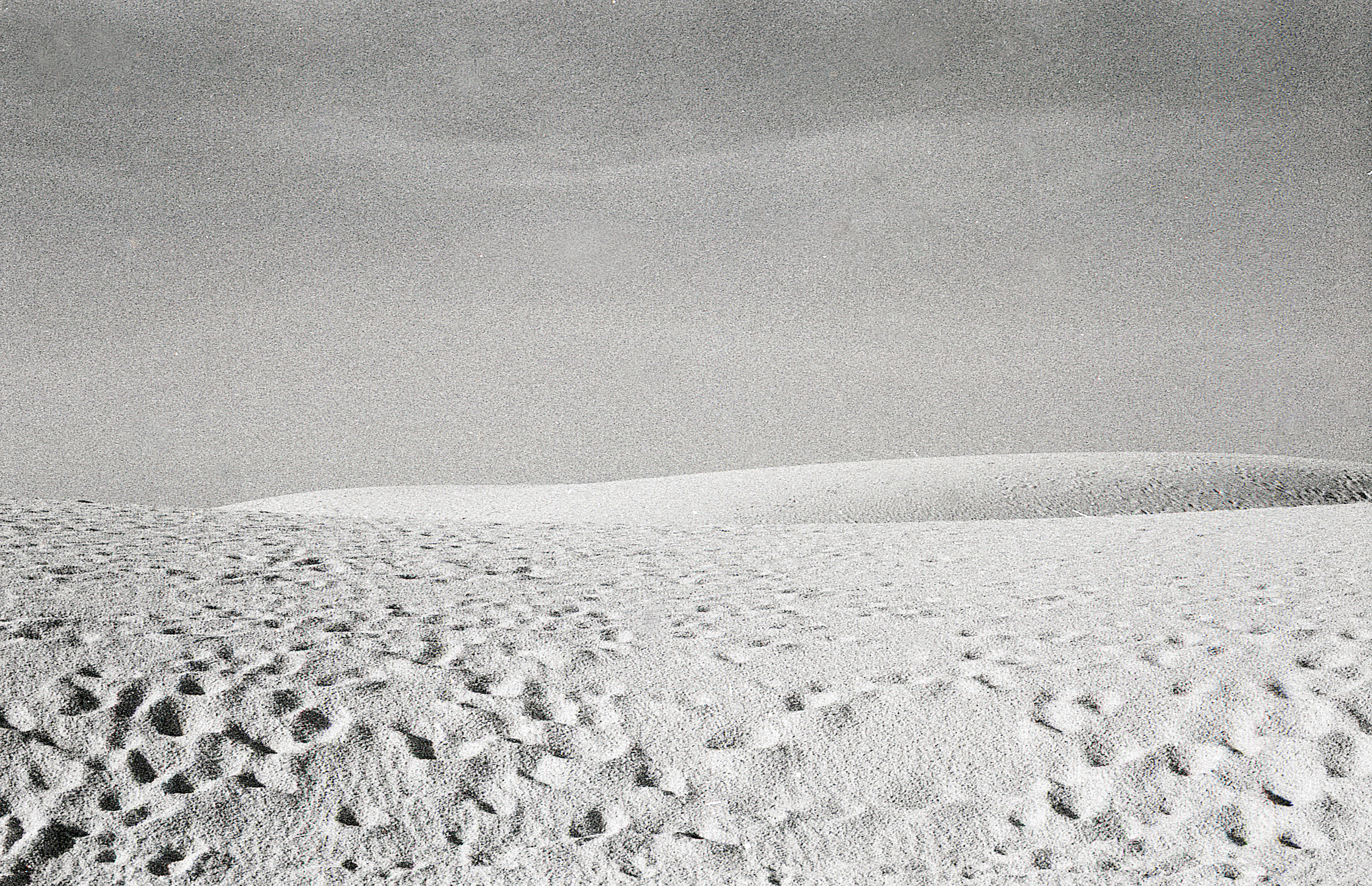  White Sands, NM 