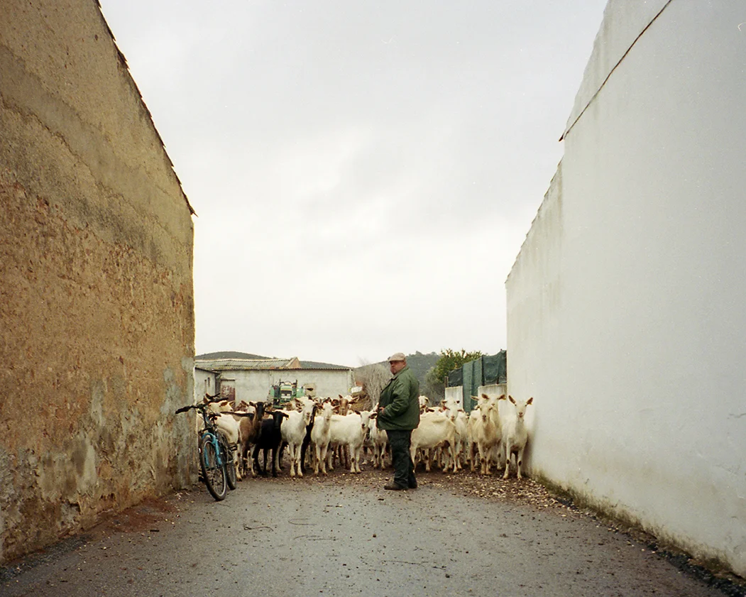 Monsaraz, Portugal