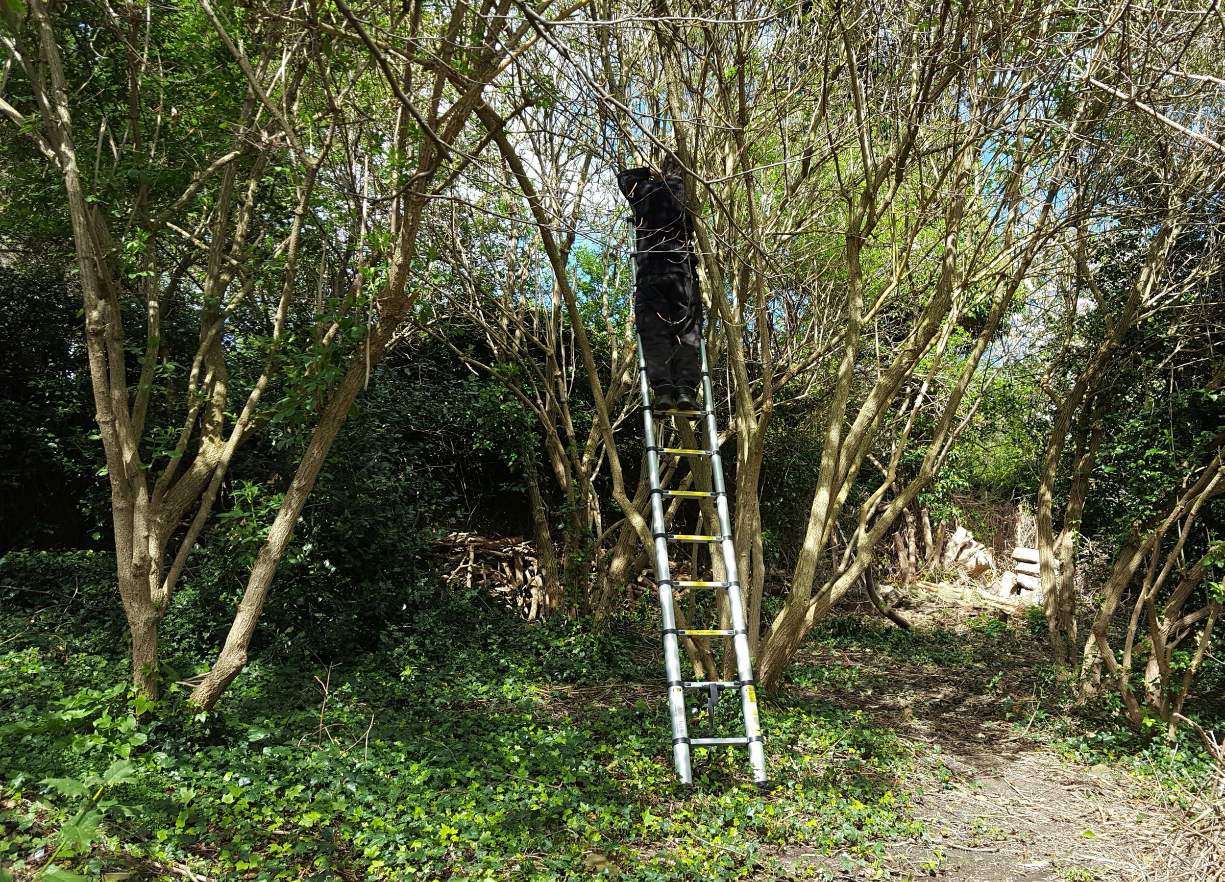 Putting up the nesting boxes