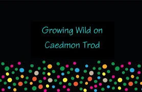 Growing Wild