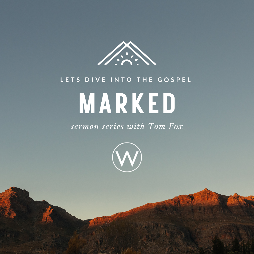 Marked: By Learning // Tom Fox (7/16/23)